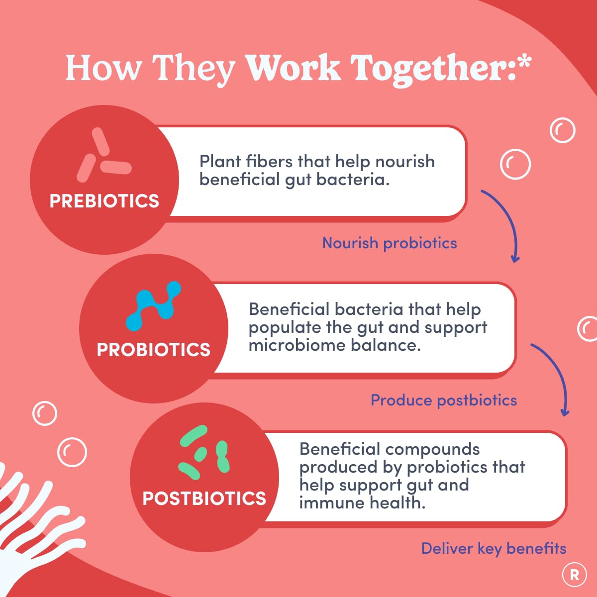 FIRST DAY Womens 3-in-1 Probiotic Gummies – Prebiotic + Probiotic + Postbiotic Supplement – Supports Digestive & Oral Health, Immune Function & Energy Levels – 30-Day Supply FIRST DAY uk supplements