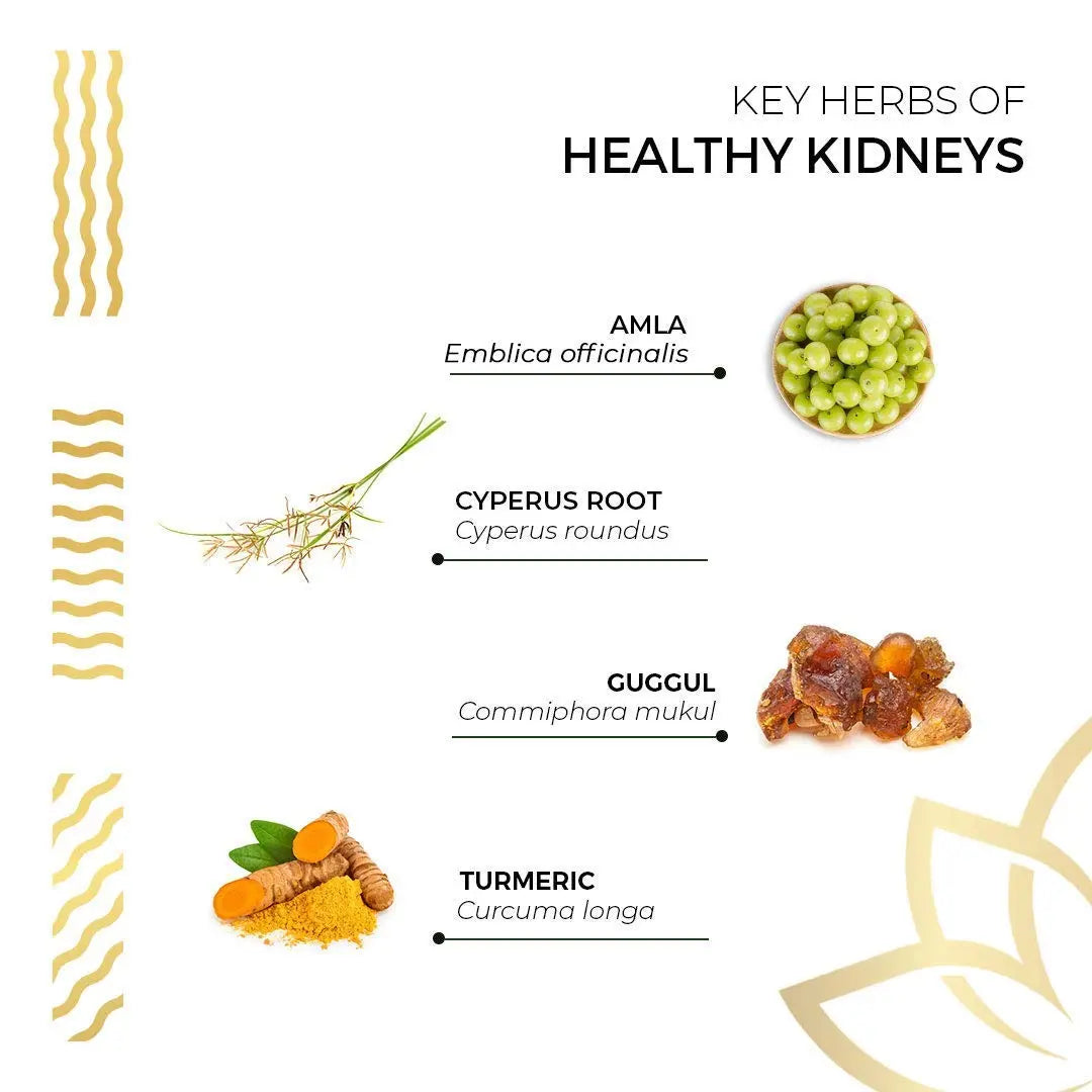 Kerala Ayurveda Healthy Kidney Herbal Tablets | Support Normal Kidney Function and Health | Kidney and Bladder Support | Urinary System Support - 90 Count Kerala Ayurveda uk supplements
