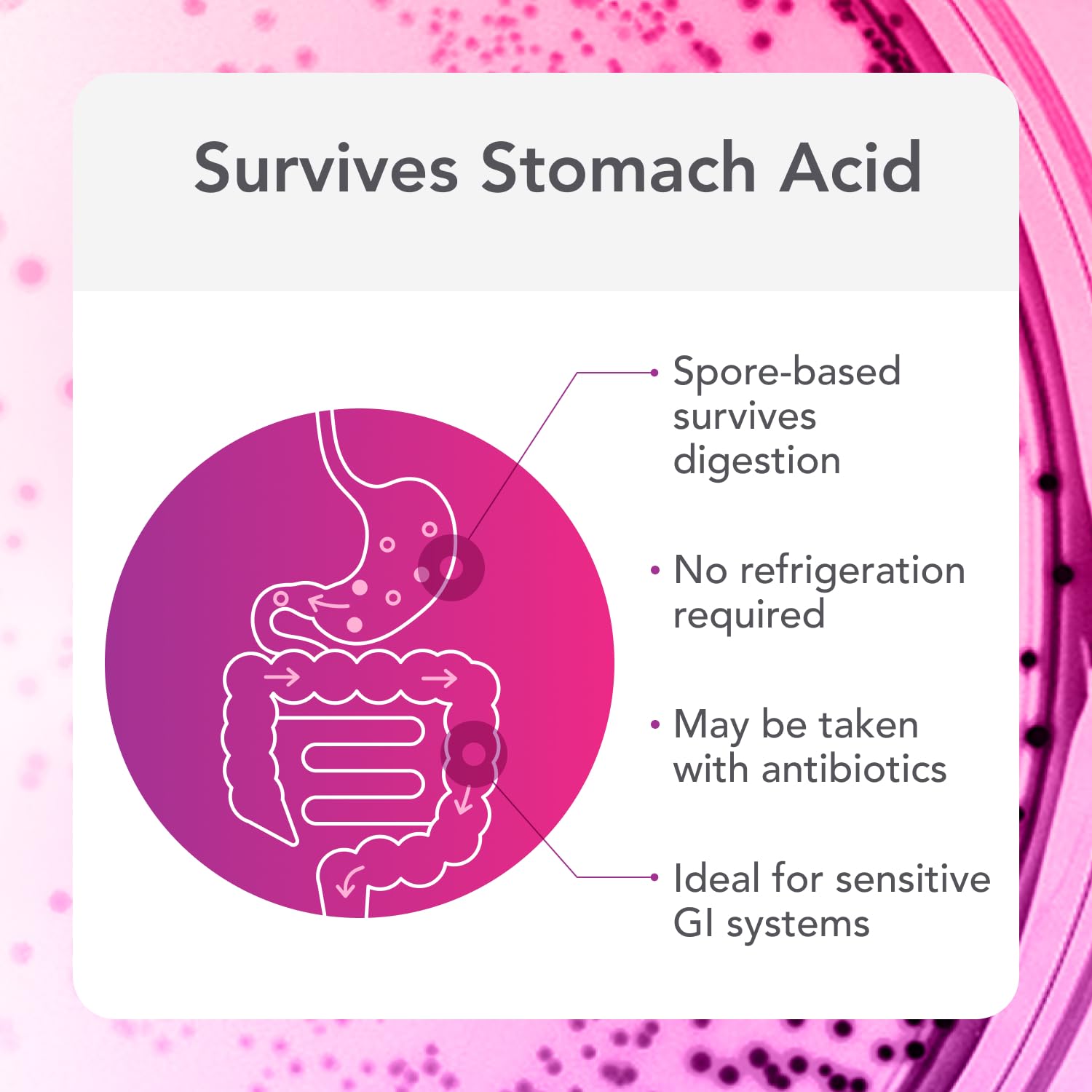Biocidin Proflora 4R Spore Probiotic - Digestive Health Probiotics for Women & Men - Clinically Researched Bacillus Strains & Organic Aloe, Marshmallow Root for Gut Support (30 Vegan Capsules) Bio-Botanical Research uk supplements