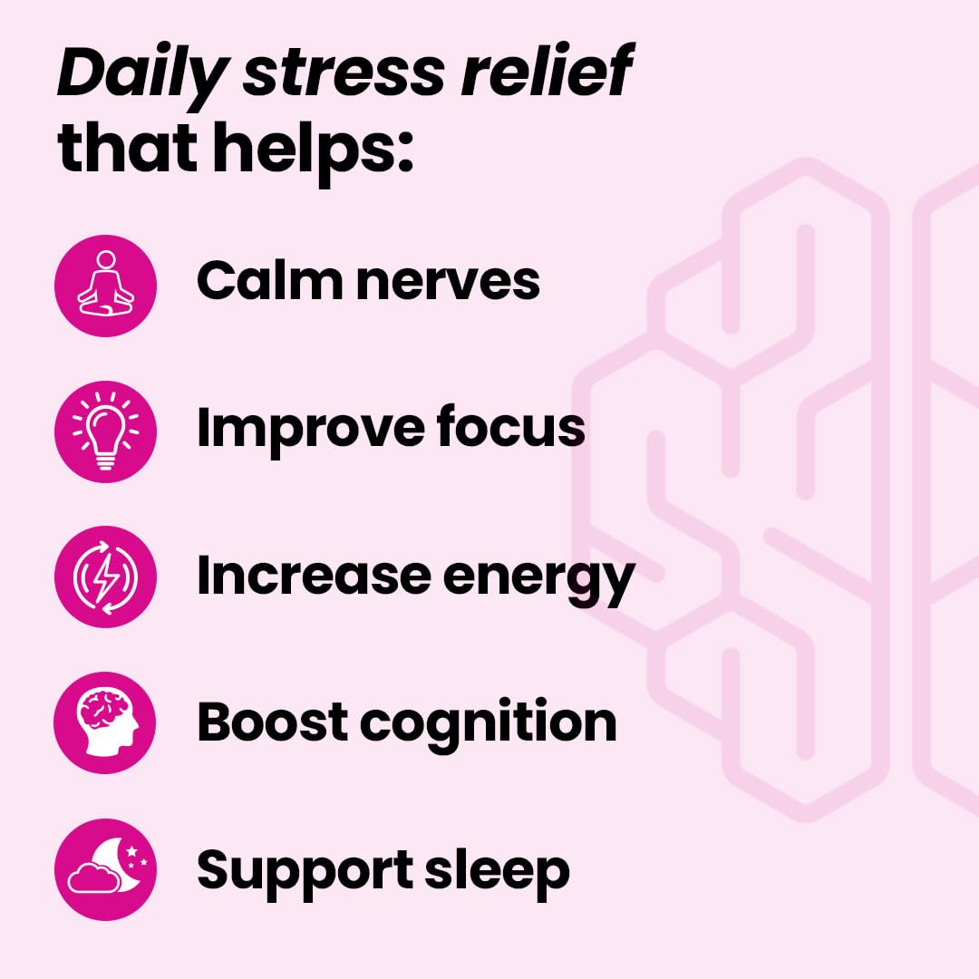 LifeSeasons NeuroQ Calm Focus Capsules - Stress Relief Supplement - Supports Mental Function & Relaxation - Sensoril Ashwagandha, Magnesium, GABA, L-Theanine, Andean Cocoa & Kava Kava - 60 Capsules LifeSeasons uk supplements