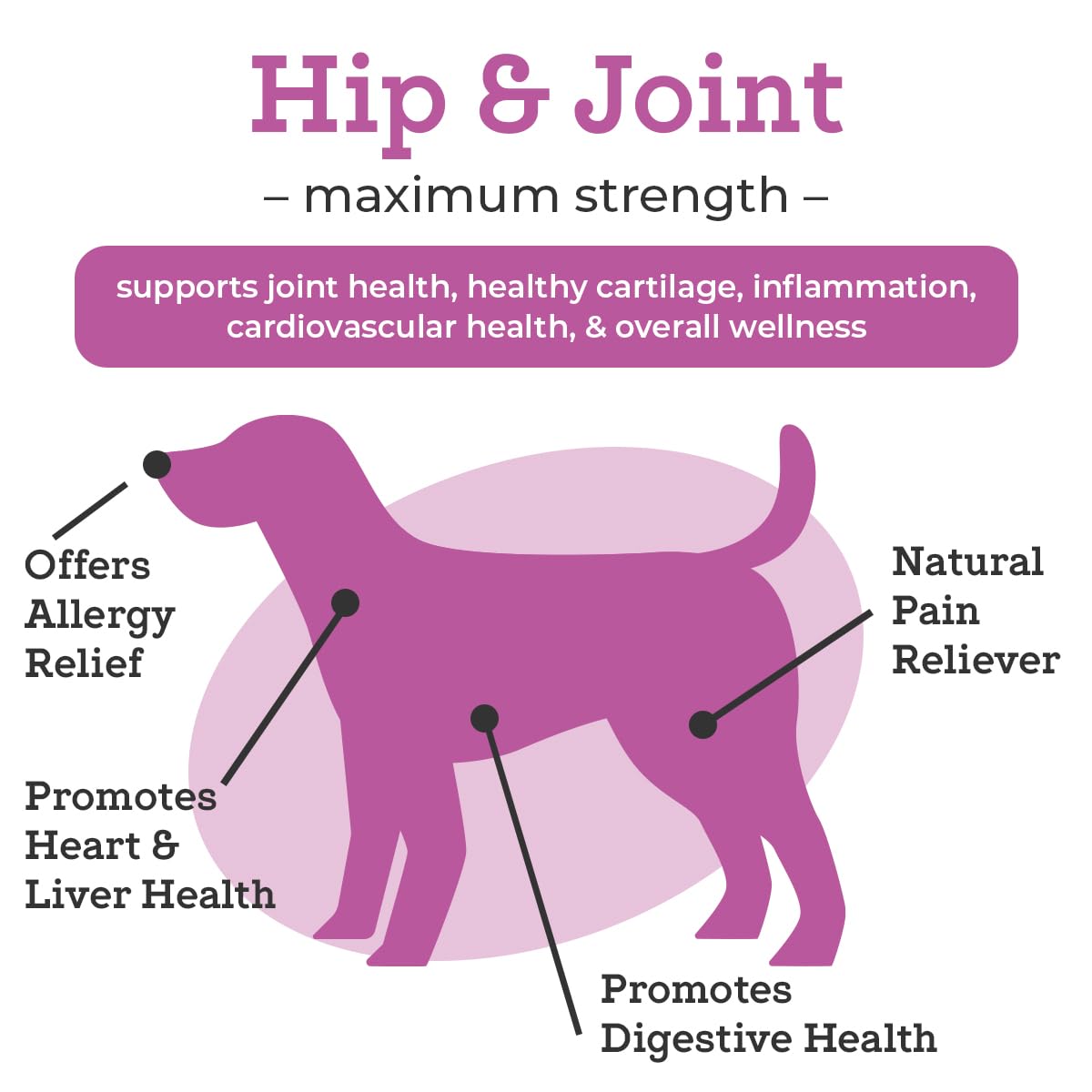 VetPro Dog Hip and Joint Supplement - Pain and Inflammation Relief Chews VetPro Complete uk supplements