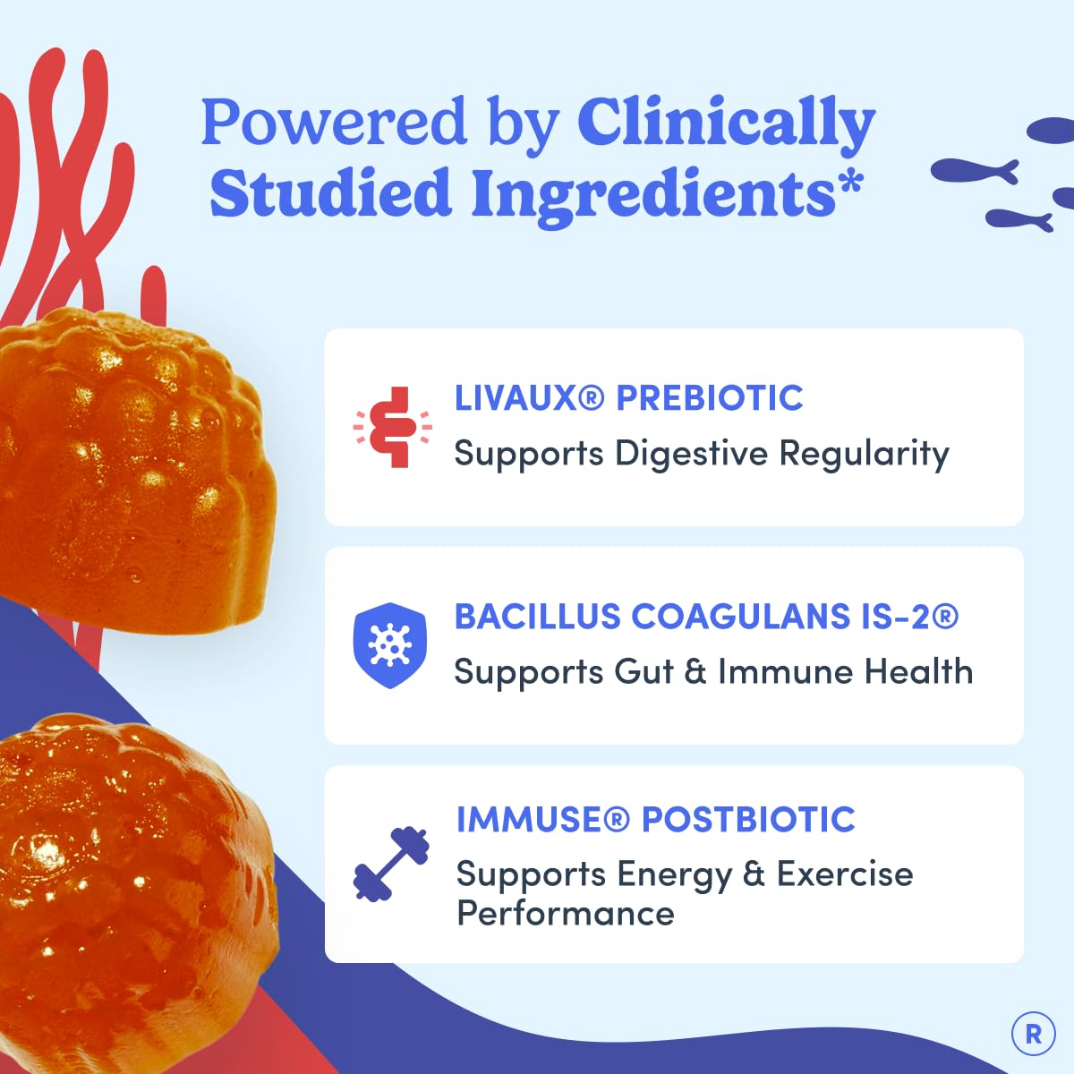 FIRST DAY 3 in 1 Probiotics for Men - Prebiotic, Probiotic & Postbiotic Supplement – Mens Probiotic for Digestive Health, Oral Health, Immune Function, Energy, Gut Health for Men – 30-Day Supply FIRST DAY uk supplements