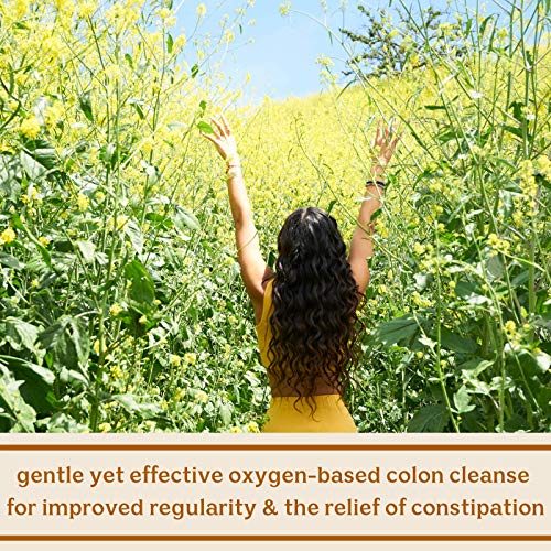 Solluna by Kimberly Snyder Feel Good Detoxy — Natural Colon Cleanse & Digestion SOLLUNA BY KIMBERLY SNYDER uk supplements