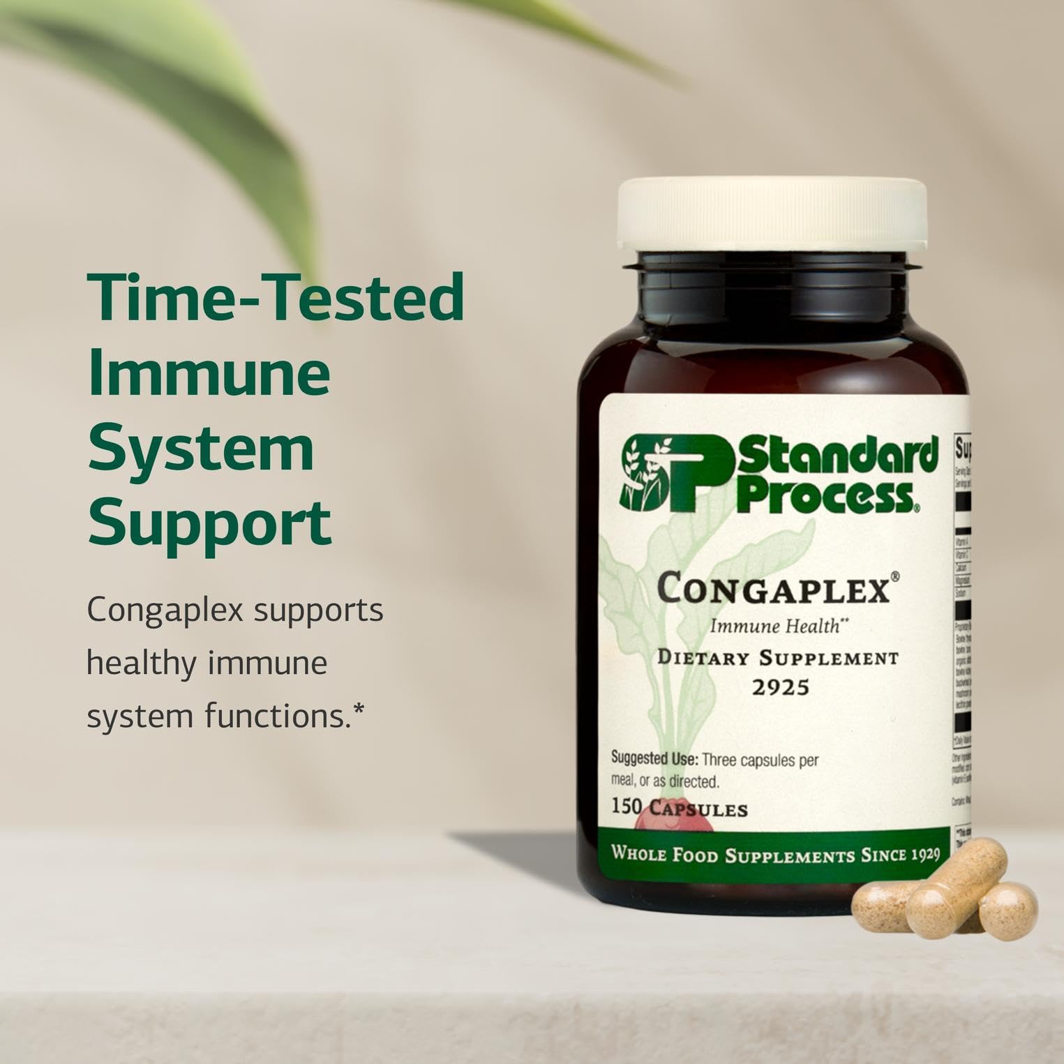 Standard Process Inc. Congaplex - Thymus Gland Support Supplement - Immune Health with Calcium Lactate, Magnesium, Vitamin C & Vitamin A - Immune System Aid with Mushroom Powder - 150 Capsules Standard Process Inc. uk supplements