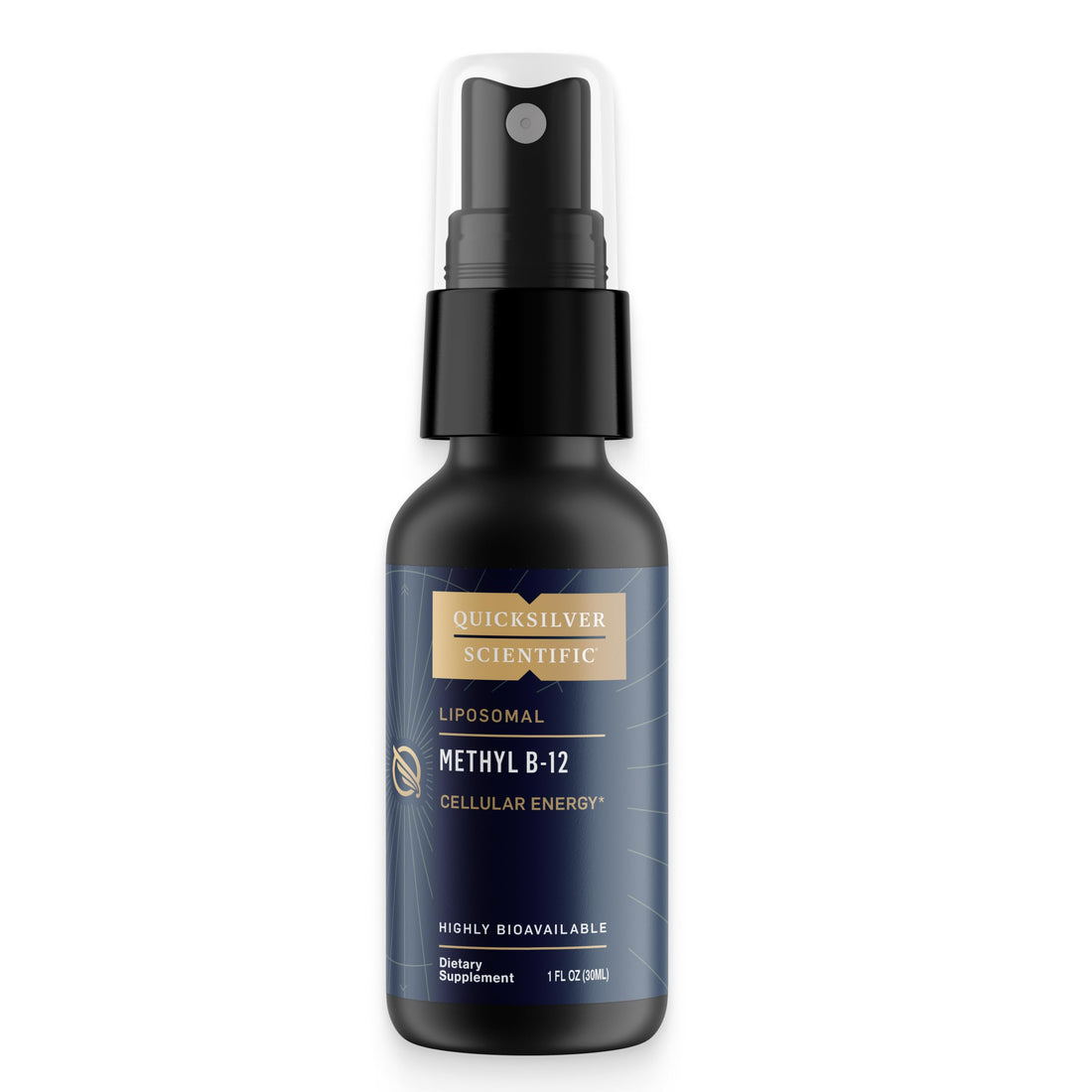 Quicksilver Scientific Methyl B12-1000mcg Vitamin B12 as Methylcobalamin - with Nano Technology for Superior Absorption - Supportive Energy Supplement (30ml / 90 Servings) Quicksilver Scientific uk supplements