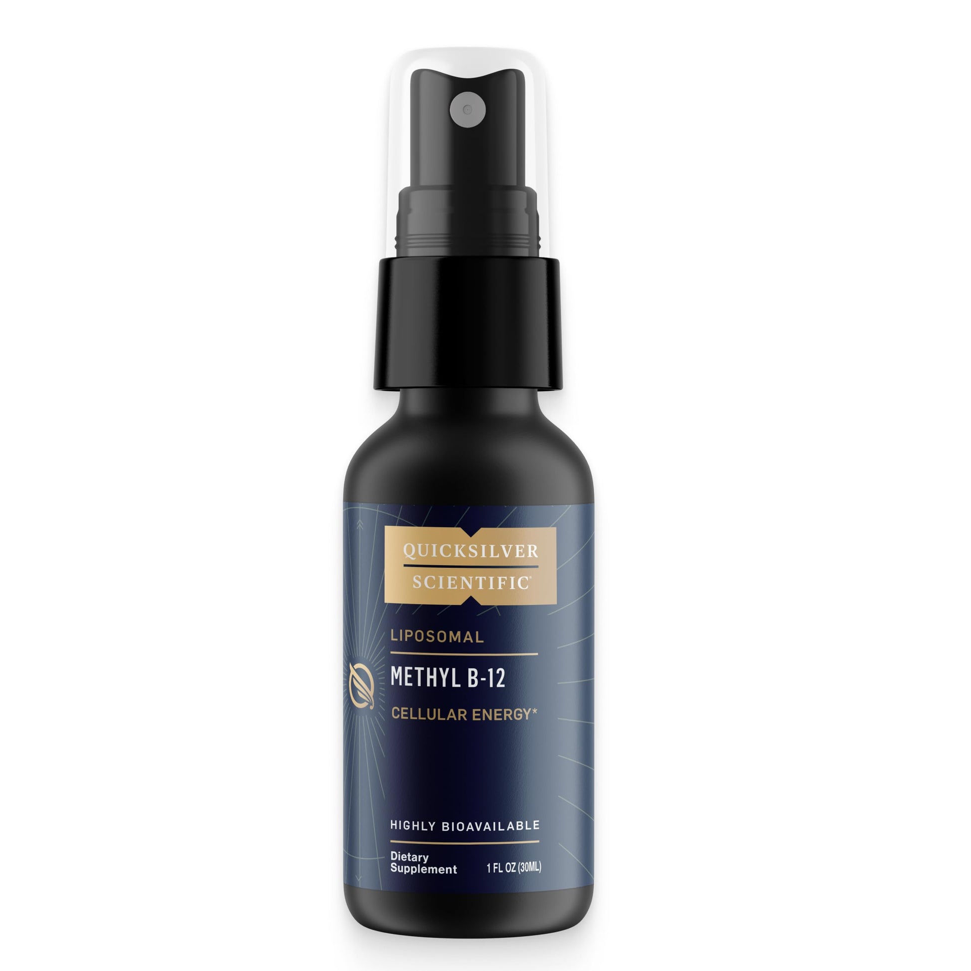 Quicksilver Scientific Methyl B12-1000mcg Vitamin B12 as Methylcobalamin - with Nano Technology for Superior Absorption - Supportive Energy Supplement (30ml / 90 Servings) Quicksilver Scientific uk supplements