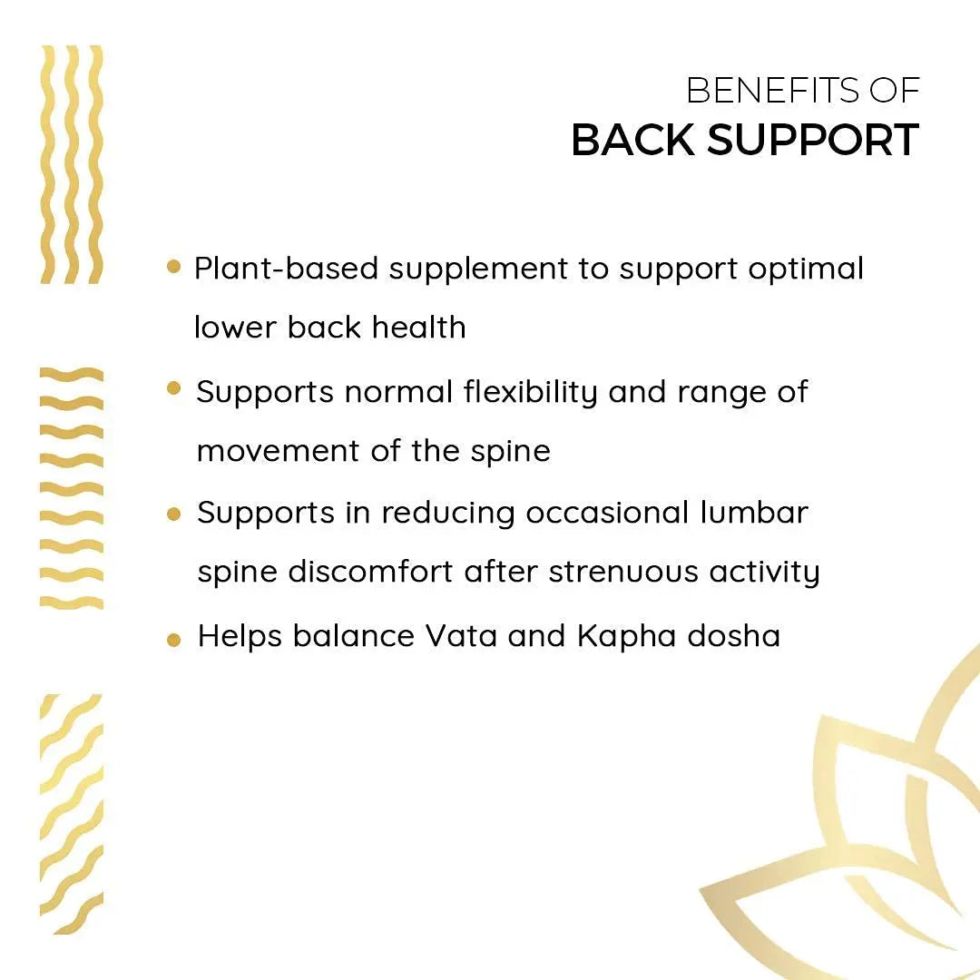 Kerala Ayurveda Back Support Herbal Capsules - Eases Occasional Discomfort of Lower Back & Supports Normal Movement of Spine, 90 Count Kerala Ayurveda uk supplements