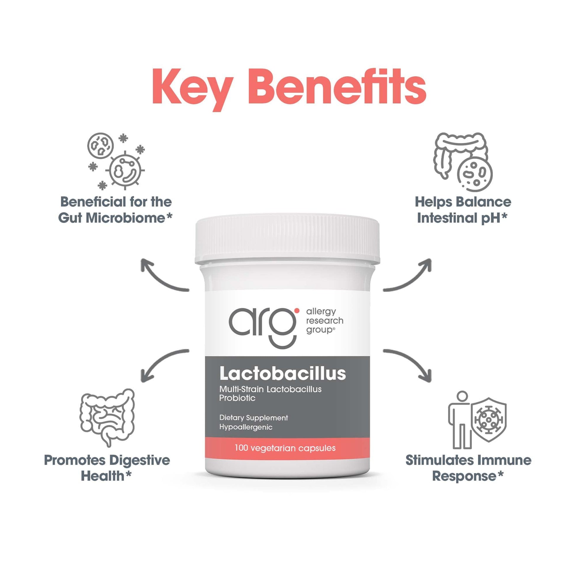 Allergy Research Group Lactobacillus Supplement - Probiotics for Men & Women, Digestive Health, Gut Health, Vegetarian Capsules - 100 Count Allergy Research Group uk supplements