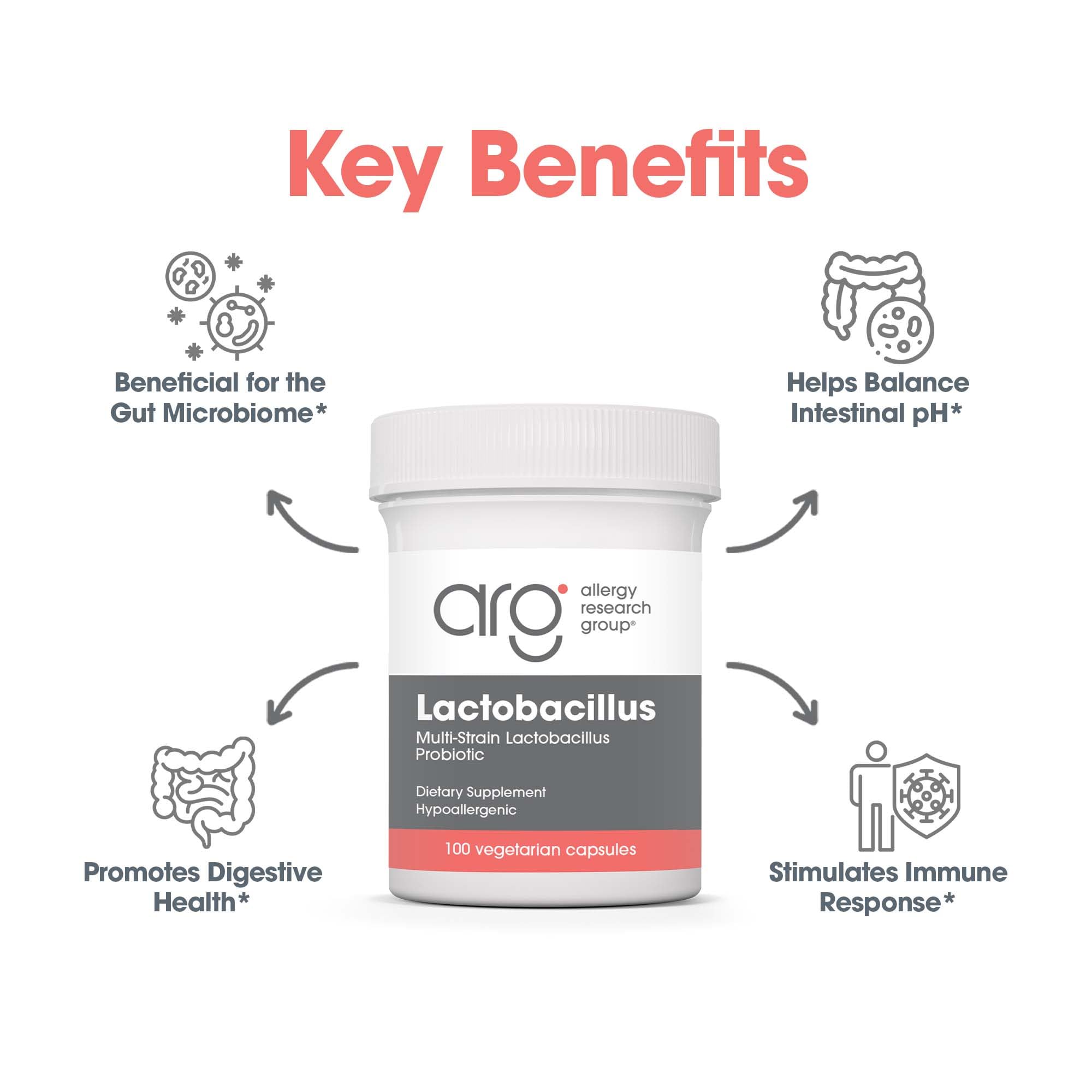 Allergy Research Group Lactobacillus Supplement - Probiotics for Men & Women, Digestive Health, Gut Health, Vegetarian Capsules - 100 Count Allergy Research Group uk supplements