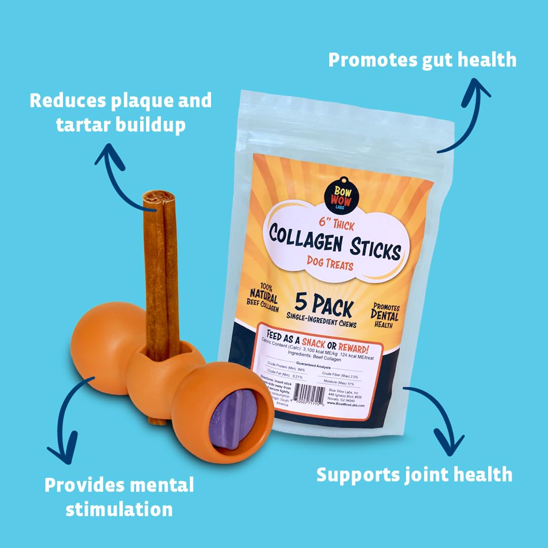 Bow Wow Labs 12" SafeFit Collagen Sticks for Dogs 5 Pack/Jumbo – All-Natural Chews for Joint, Gut, Bone & Oral Health Bow Wow Labs uk supplements