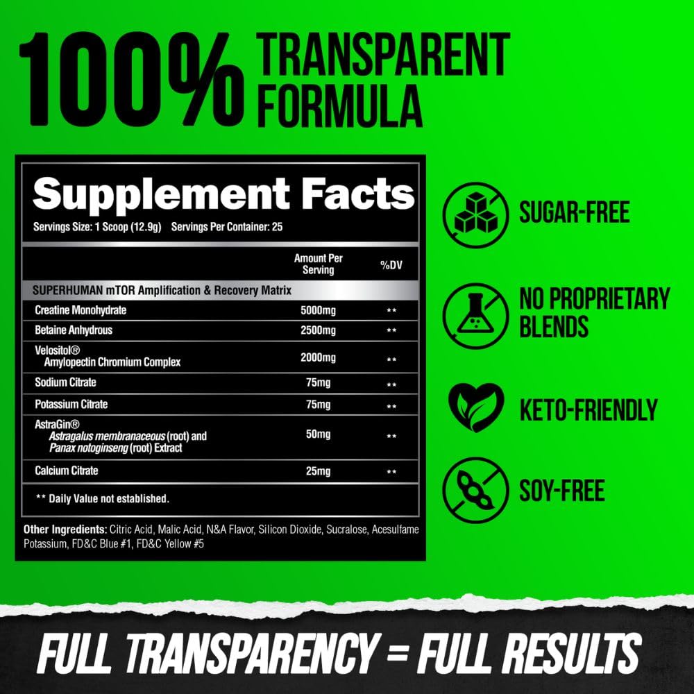 ALPHA LION Superhuman Pre Workout Powder & Post Workout Recovery Bundle ALPHA LION uk supplements