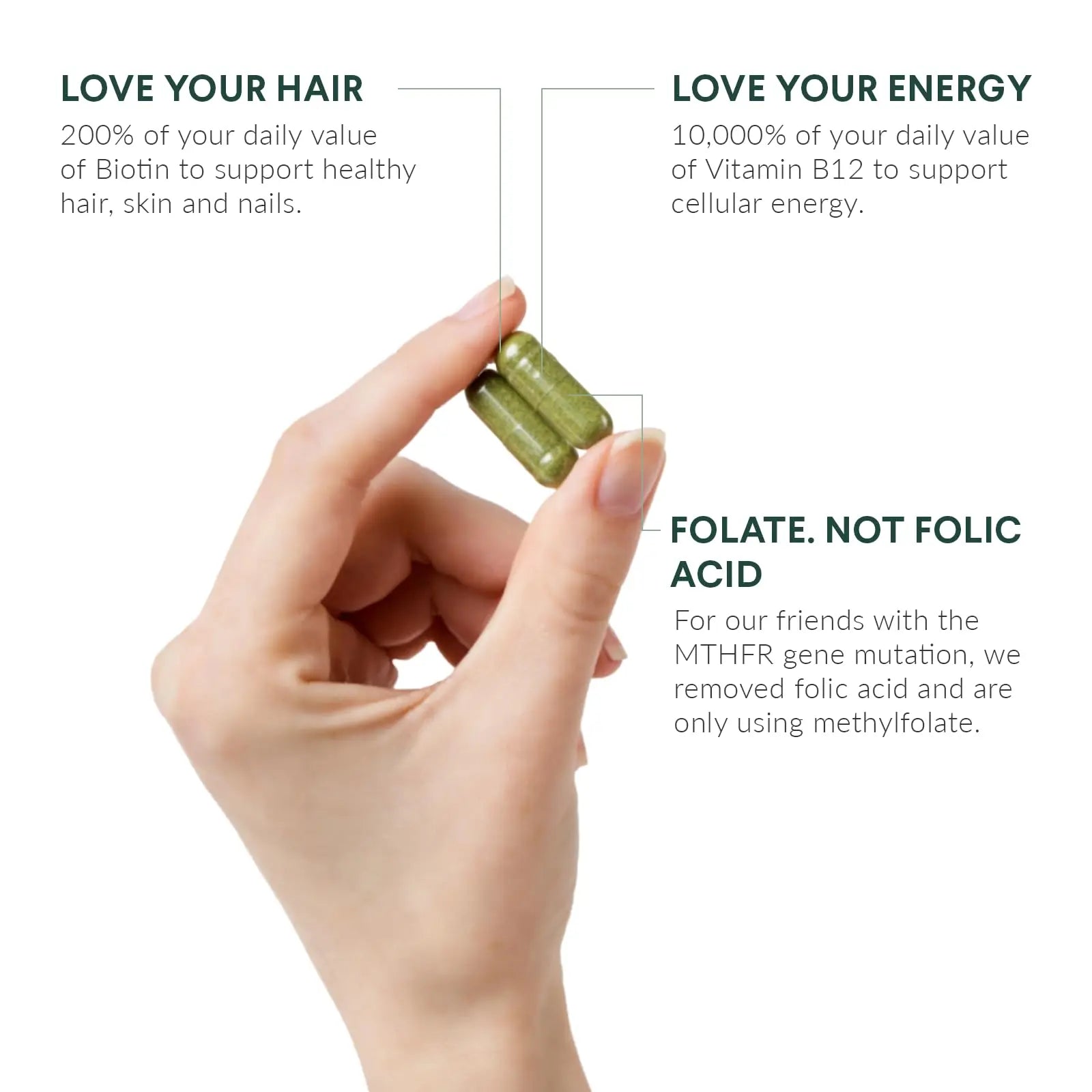 Nutritional Roots Multivitamin+, Award-Winning Plant-Based (Vegan) Multivitamin, Organic Vegetables & Herbs Nutritional Roots uk supplements