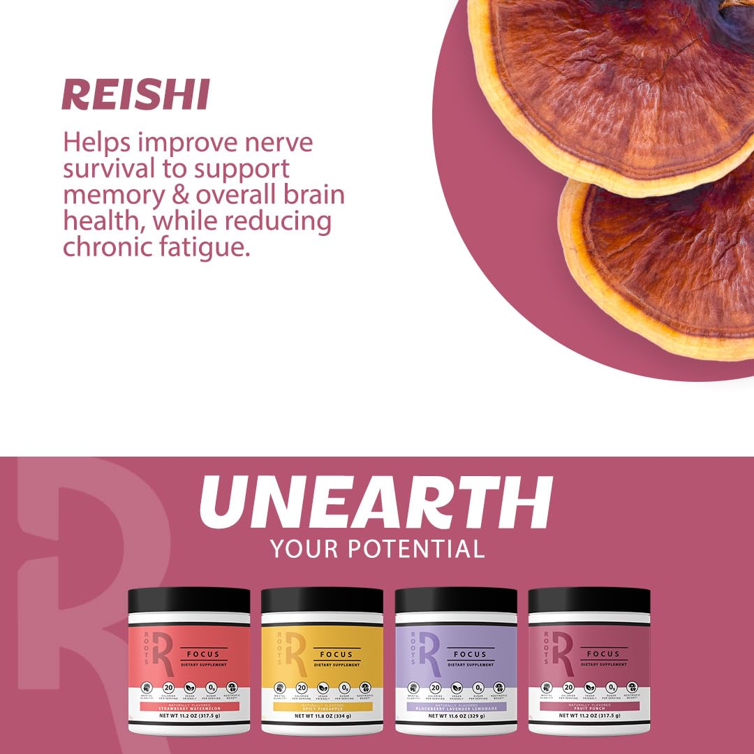 Roots Focus Brain Supplement - Nootropic Mushroom Supplement Powder for Memory, Focus, Energy - Lion's Mane, Cordyceps, and Reishi Mushrooms with Caffeine - Blackberry Lemonade, 15 On the Go Packets Silver Star Nutrition uk supplements