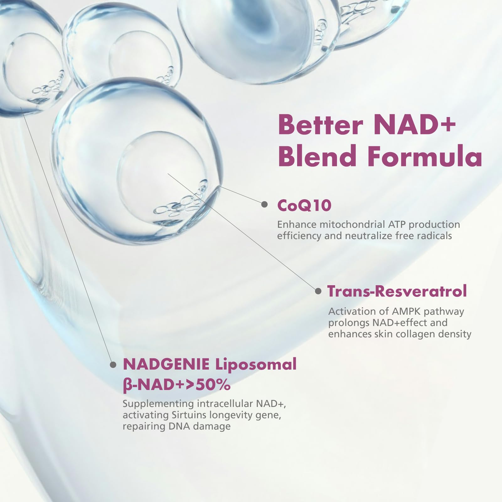 VHC NAD+ Supplement, NMN Alternative Liposomes with CoQ10, Trans-Resveratrol for Women & Men,Support Energy, Anti-Aging,Focus,90 Capsules VHC uk supplements