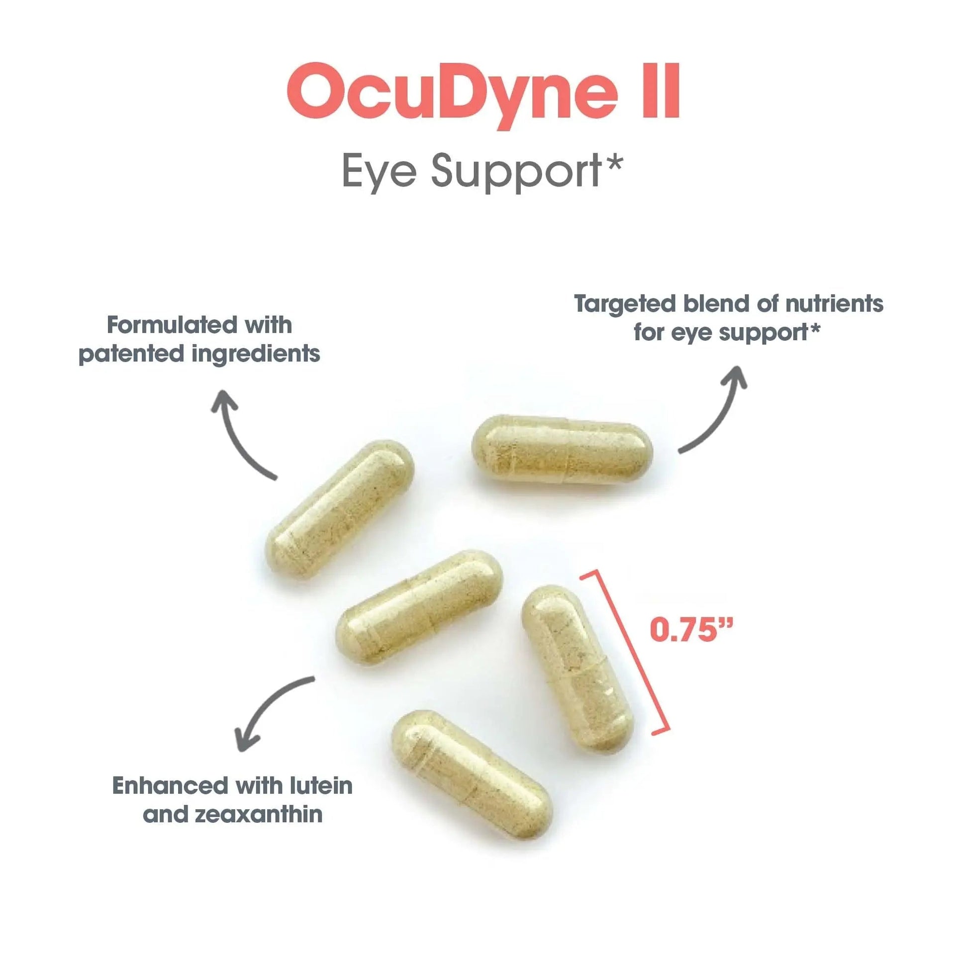 Allergy Research Group OcuDyne II Supplement - Eye Support Vitamins for Vision, Eye Health for Adults, Vision Support, Multivitamin Formula Allergy Research Group uk supplements