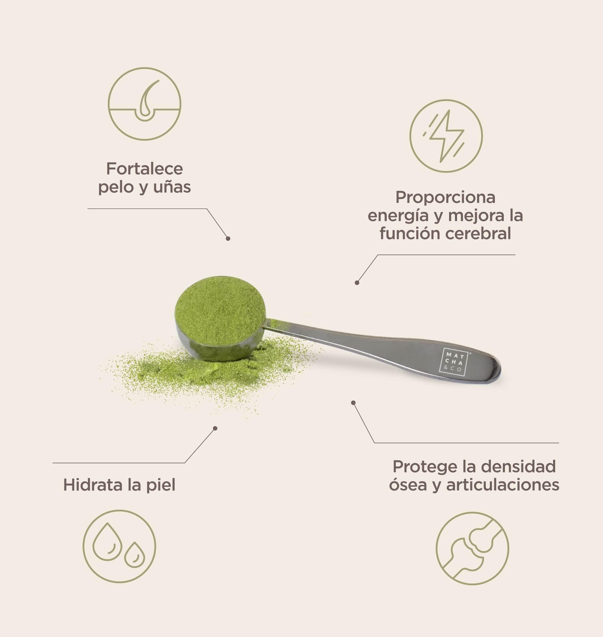 Collagen with Magnesium, Matcha Tea and Hyaluronic Acid. Joints, skin and nails Matcha & CO uk supplements