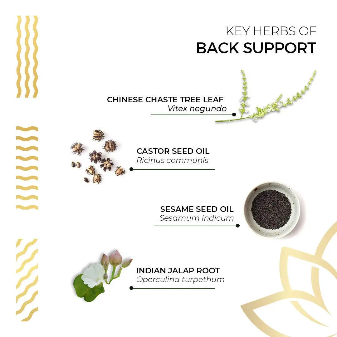 Kerala Ayurveda Back Support Herbal Capsules - Eases Occasional Discomfort of Lower Back & Supports Normal Movement of Spine, 90 Count Kerala Ayurveda uk supplements