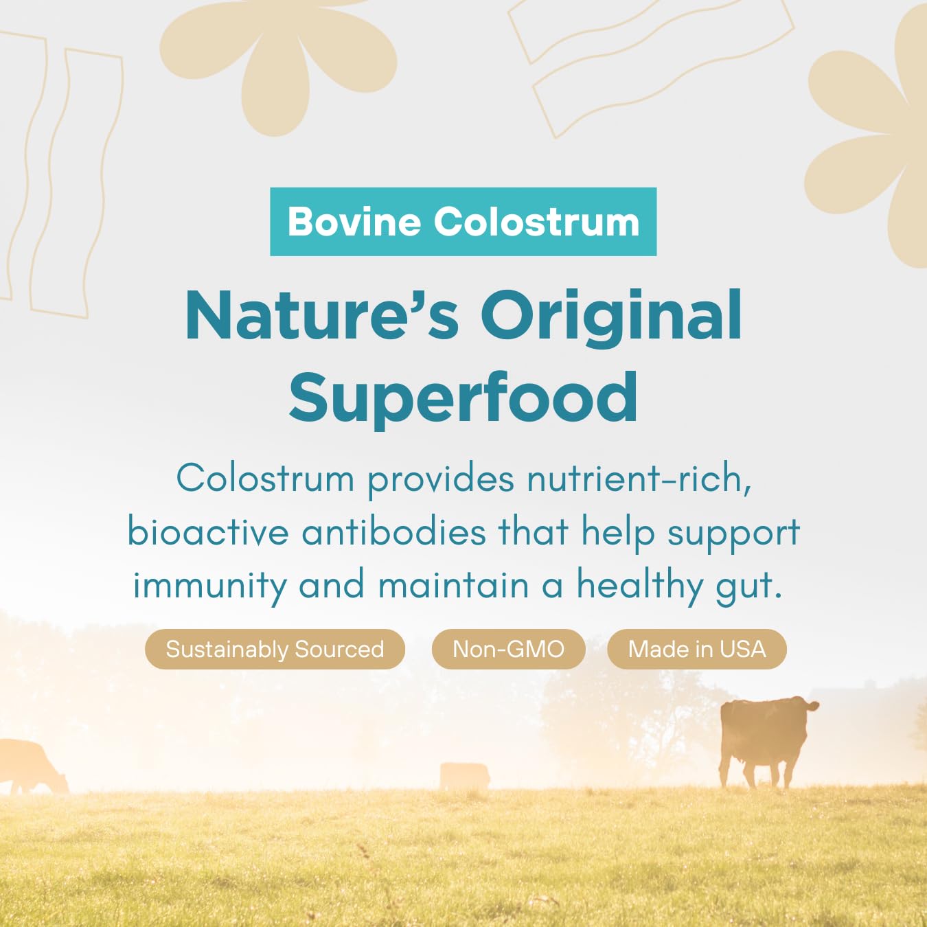 360 Nutrition Blends with Benefits Bovine Colostrum + Collagen Peptides Powder for Gut Health, Hair & Skin Beauty, Immune Support | Grass-Fed, No Added Sugar, Unflavored 6 oz 360 Nutrition uk supplements