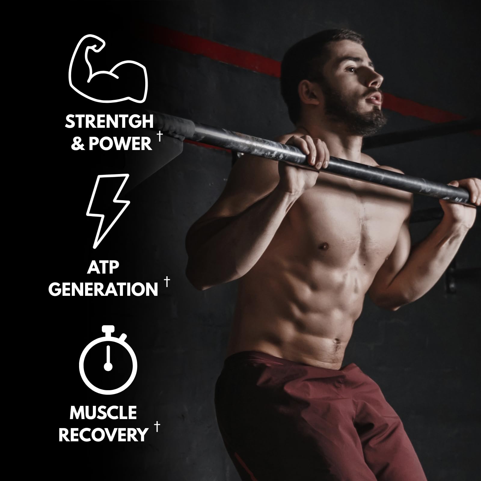 Max Muscle Ultra Pure Creatine Monohydrate Powder 5000 mg (5 Grams) | 3rd Party Purity Tested | 100% Micronized and Unflavored for Maximum Absorption | Keto Friendly | 8.8 Ounces | 50 Servings Max Muscle uk supplements