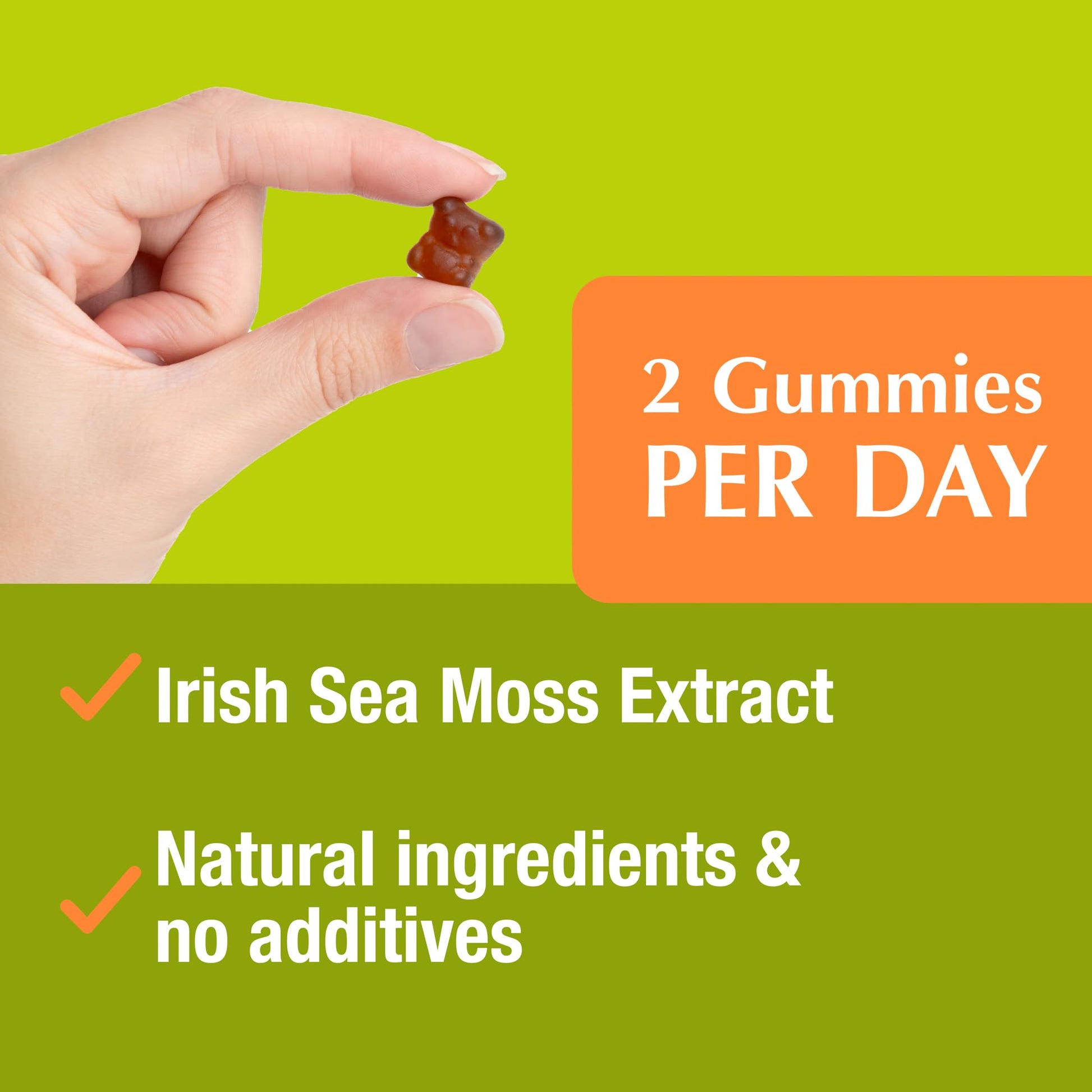 Jiva Botanicals - Irish Sea Moss Gummies with Bladderwrack & Burdock Root 3000mg Jiva Botanicals uk supplements