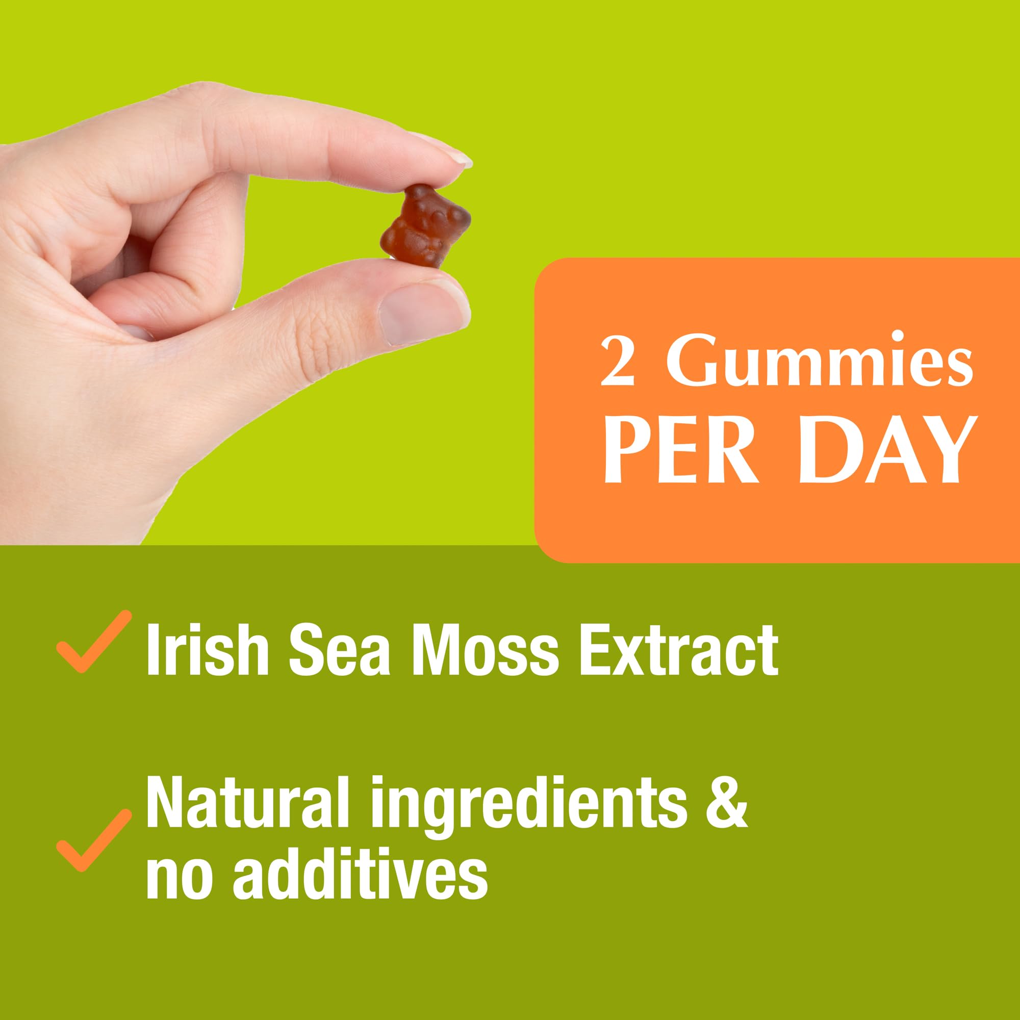 Jiva Botanicals - Irish Sea Moss Gummies with Bladderwrack & Burdock Root 3000mg Jiva Botanicals uk supplements
