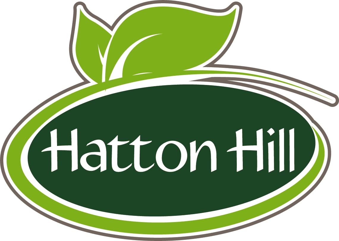 SOYA Protein Isolate (90% Protein) 250g by Hatton Hill, Unflavoured, Vegan Protein Shake Hatton Hill uk supplements