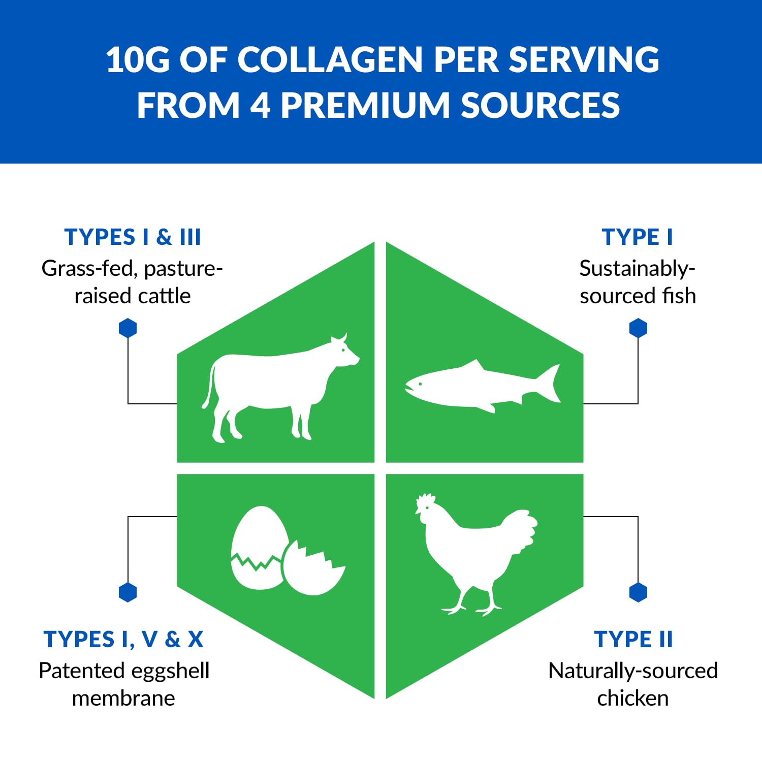 BioTrust Multi-Collagen Protein Powder + Keto MCT Oil – 5 Collagen Types Plus 100% BioTrust uk supplements