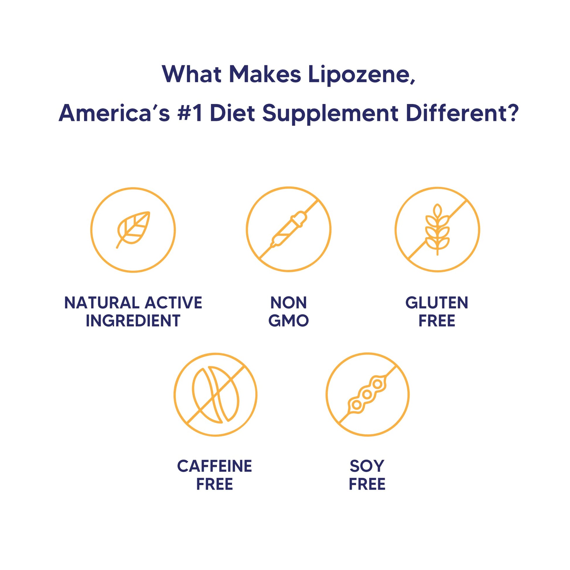 Lipozene Diet Pills - Weight Loss Supplement - Appetite Control - Two Bottles of 30 Capsules Lipozene uk supplements