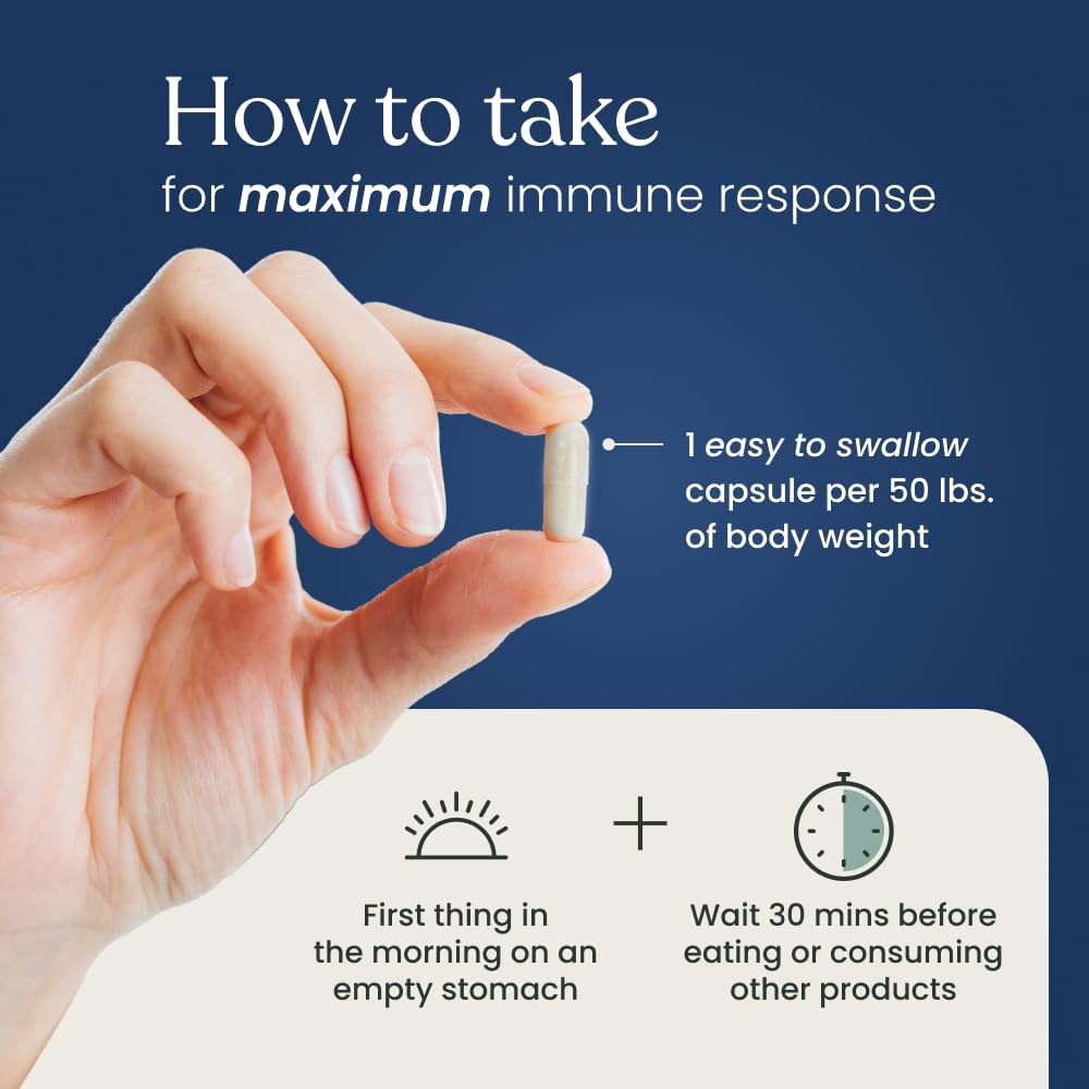 Better Way Health™ - Advanced Immune Readiness - Highly Purified 1,3/1,6 Beta Glucan 500 - Clinically Tested Immune Defense - 500mg/60 Capsules (Pack of 1) Better Way Health uk supplements