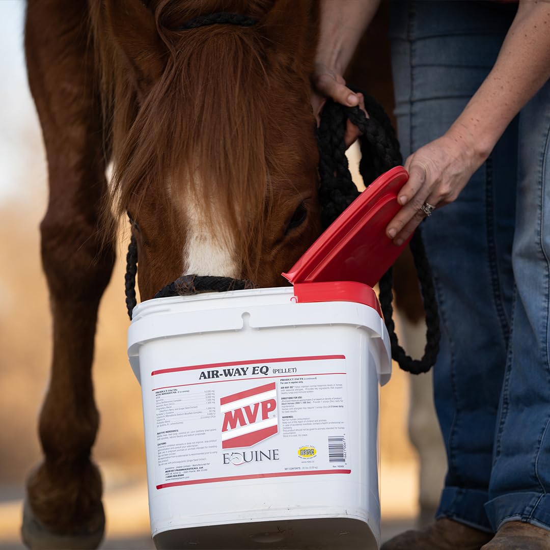 MVP Air-Way EQ Supports Healthy Lung Function and Seasonal Allergy Support in Horses, 5lb - 40 Servings MVP uk supplements