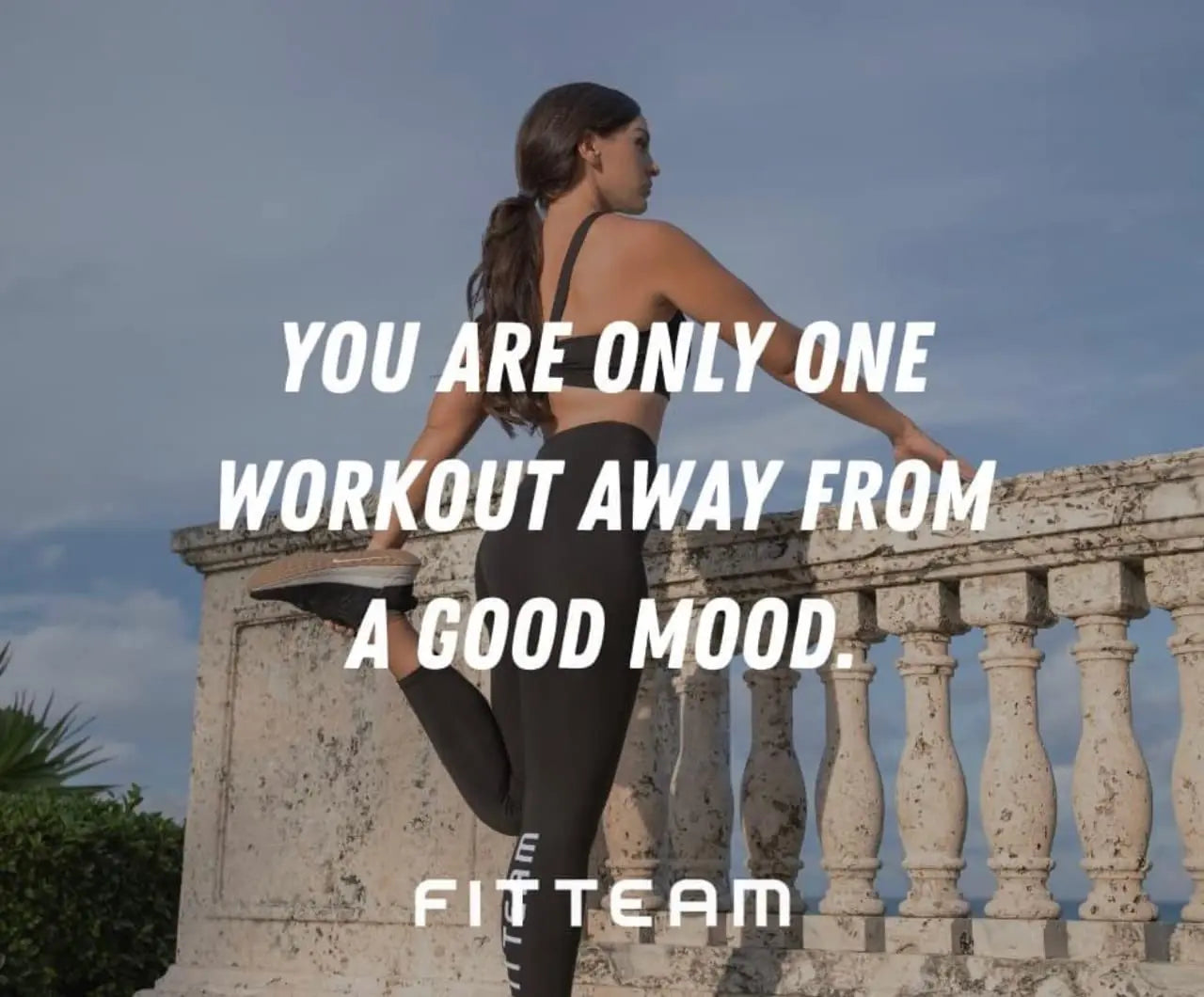 Fitteam Fit 30 Individual Sticks (30 Day Supply) New Improved Formula Fitteam uk supplements