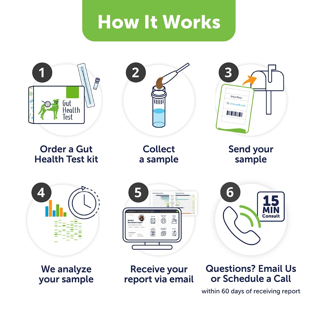 AnimalBiome Dog Gut Health Test – DoggyBiome At Home Stool Testing Kit, Canine Fecal Analysis for Digestive Issues, Diarrhea & Allergy Insights w/Personalized Report & Custom Plan (Dogs Outside US) AnimalBiome uk supplements