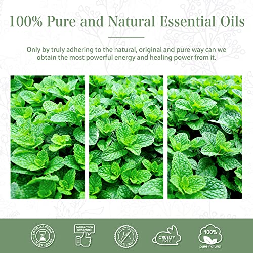 PHATOIL Spearmint Essential Oil 100ML, Pure Premium Grade Spearmint Essential Oils PHATOIL uk supplements