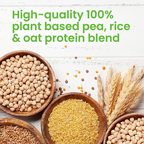 VPlab Vegan Protein Powder 500g - 16 Servings, 100% Plant Based and Natural Vegan Protein Shake vplab nutrition uk supplements