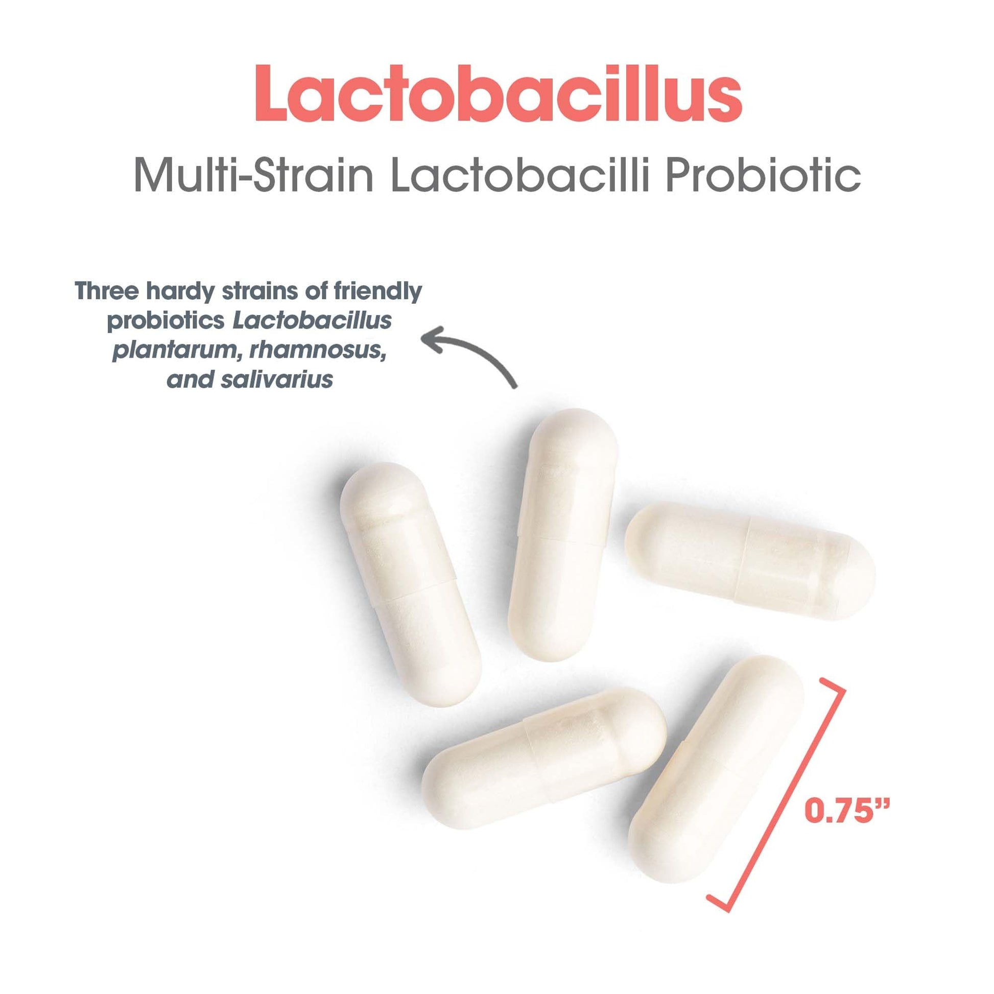 Allergy Research Group Lactobacillus Supplement - Probiotics for Men & Women, Digestive Health, Gut Health, Vegetarian Capsules - 100 Count Allergy Research Group uk supplements