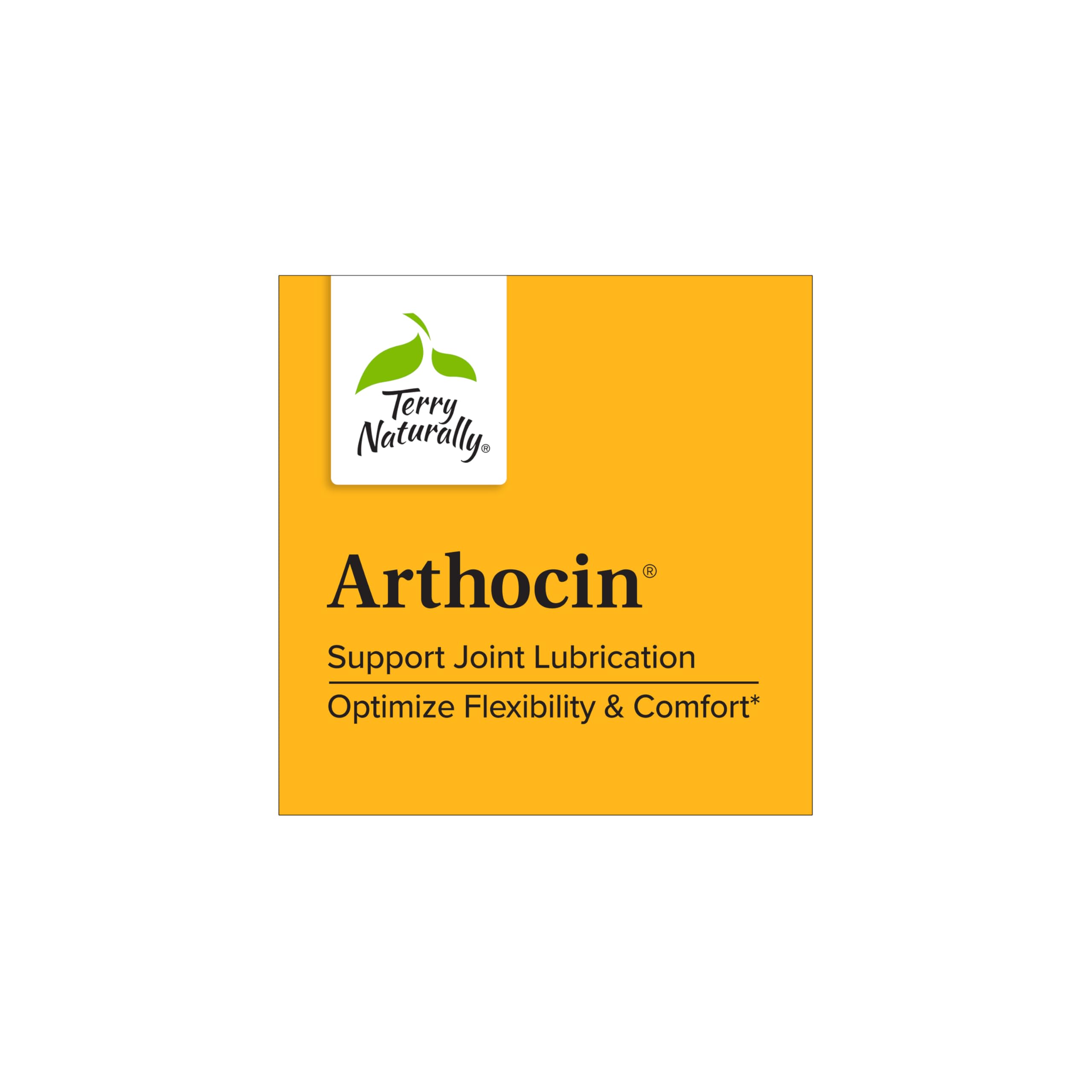 Terry Naturally Arthocin - Boswellia Serrata Capsules with Devil's Claw & Curcumin - Supplement to Support Joint & Spine Health - Herbal Supplement Aids Comfort & Absorption - 60 Capsules Terry Naturally uk supplements