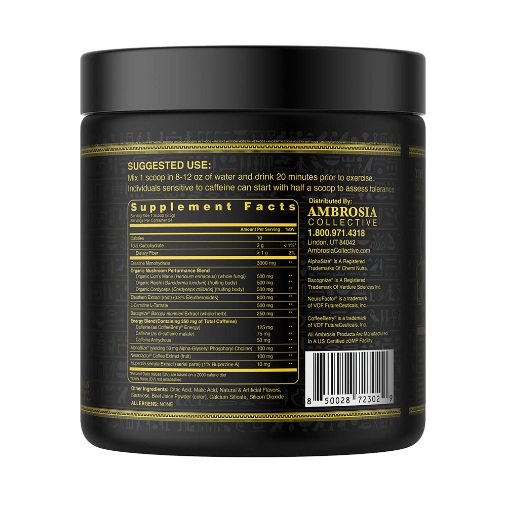 Ambrosia Kinetic Organic Preworkout, Mushroom Enhanced Natural Pre Workout Supplement Ambrosia uk supplements
