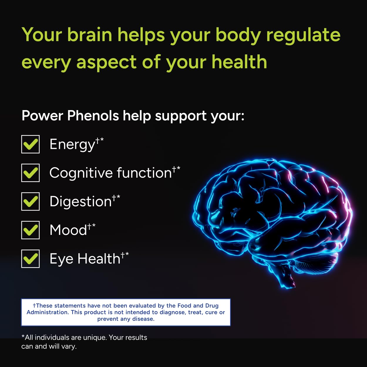 Gundry MD Power Phenols Brain Health Supplement for Cognition, Focus, Motivation, Productivity, and Energy - (30 Servings) Gundry MD uk supplements