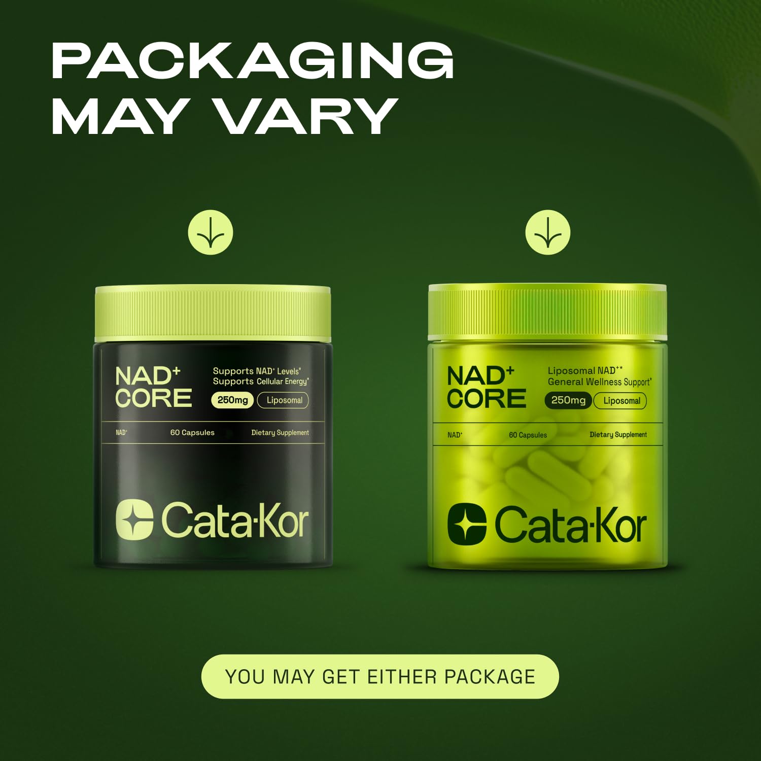 Cata-Kor NMN Supplement Alternative – Liposomal NAD+ Supplement – Third-Party Tested – NAD CORE – 90-Day Supply – 180 Capsules Cata-Kor uk supplements