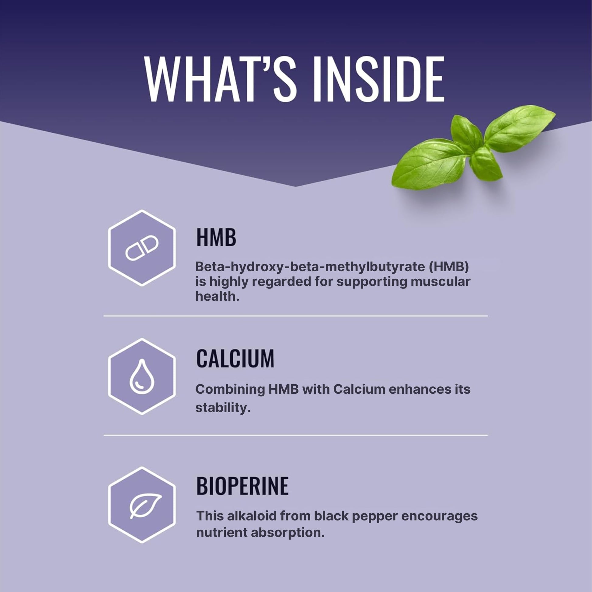 Approved Science HMB - 1500mg High Potency HMB Supplement with Calcium & BioPerine for Absorption - Muscle Health & Exercise Performance - 60 Vegan Capsules - Pack of 3 Approved Science uk supplements