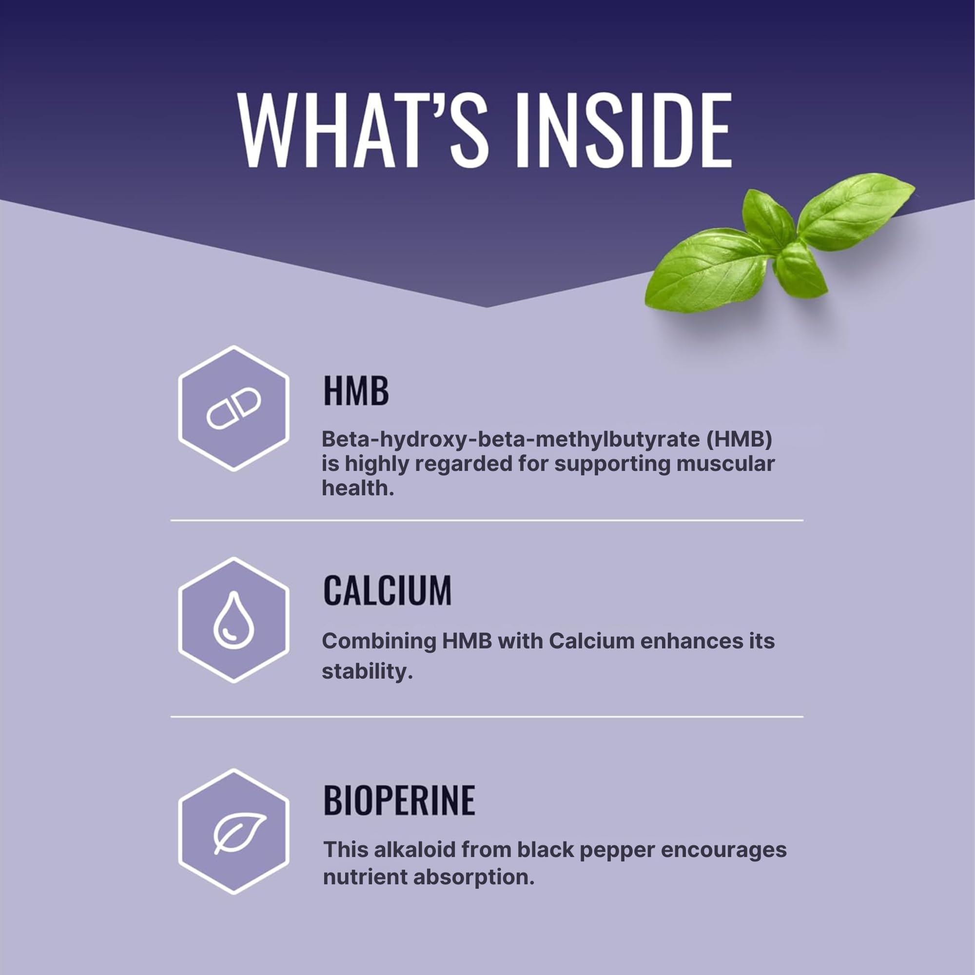 Approved Science HMB - 1500mg High Potency HMB Supplement with Calcium & BioPerine for Absorption - Muscle Health & Exercise Performance - 60 Vegan Capsules - Pack of 3 Approved Science uk supplements