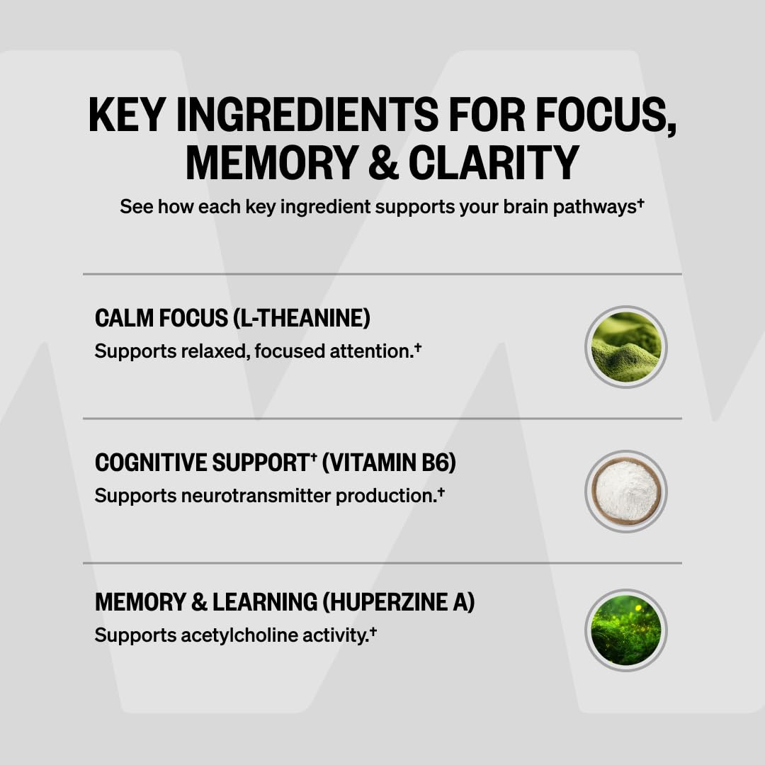 ONNIT Alpha Brain Nootropic Brain Supplement for Focus, Memory, Mental Clarity, Cognitive Support with L-Theanine and Vitamin B6, 90 Count ONNIT uk supplements
