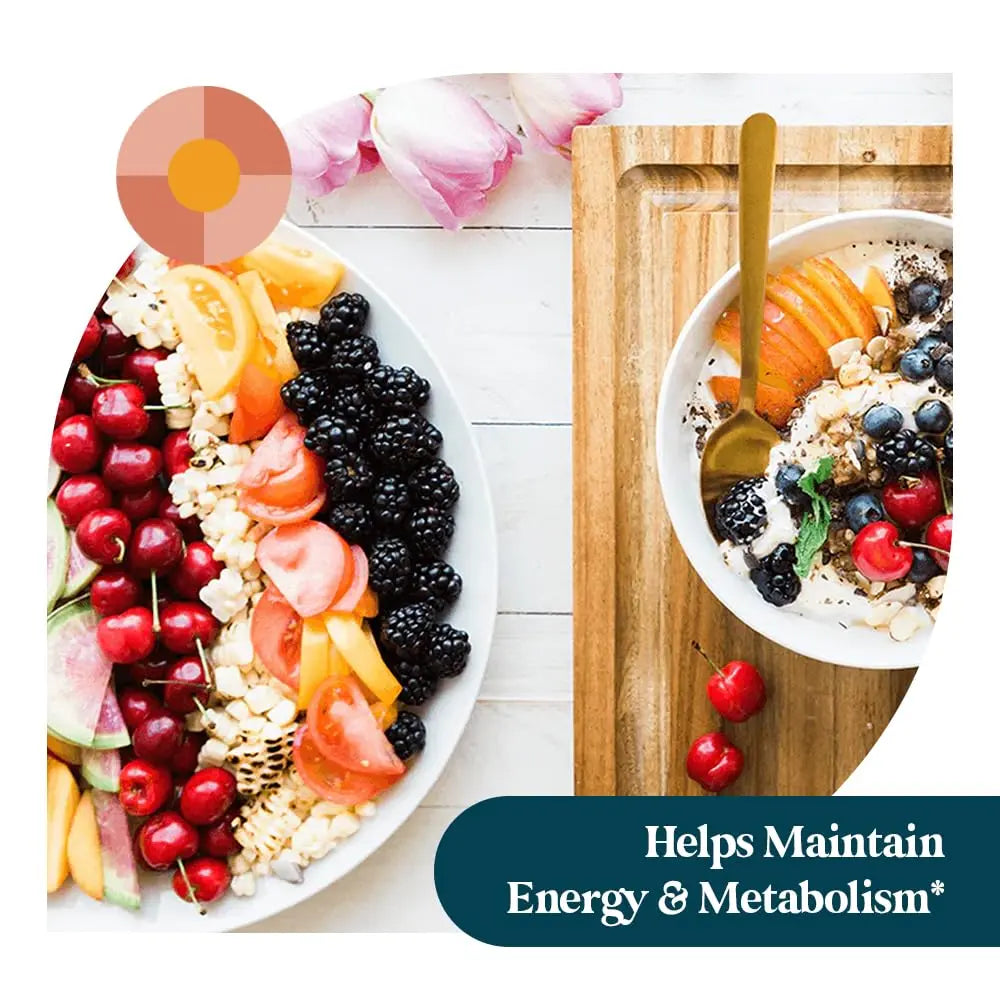 Pattern Wellness Multivitamin for Men & Women – Vitamin A, B, C, D, E – Supports Energy & Wellness – Whole Body Health Pattern Wellness uk supplements