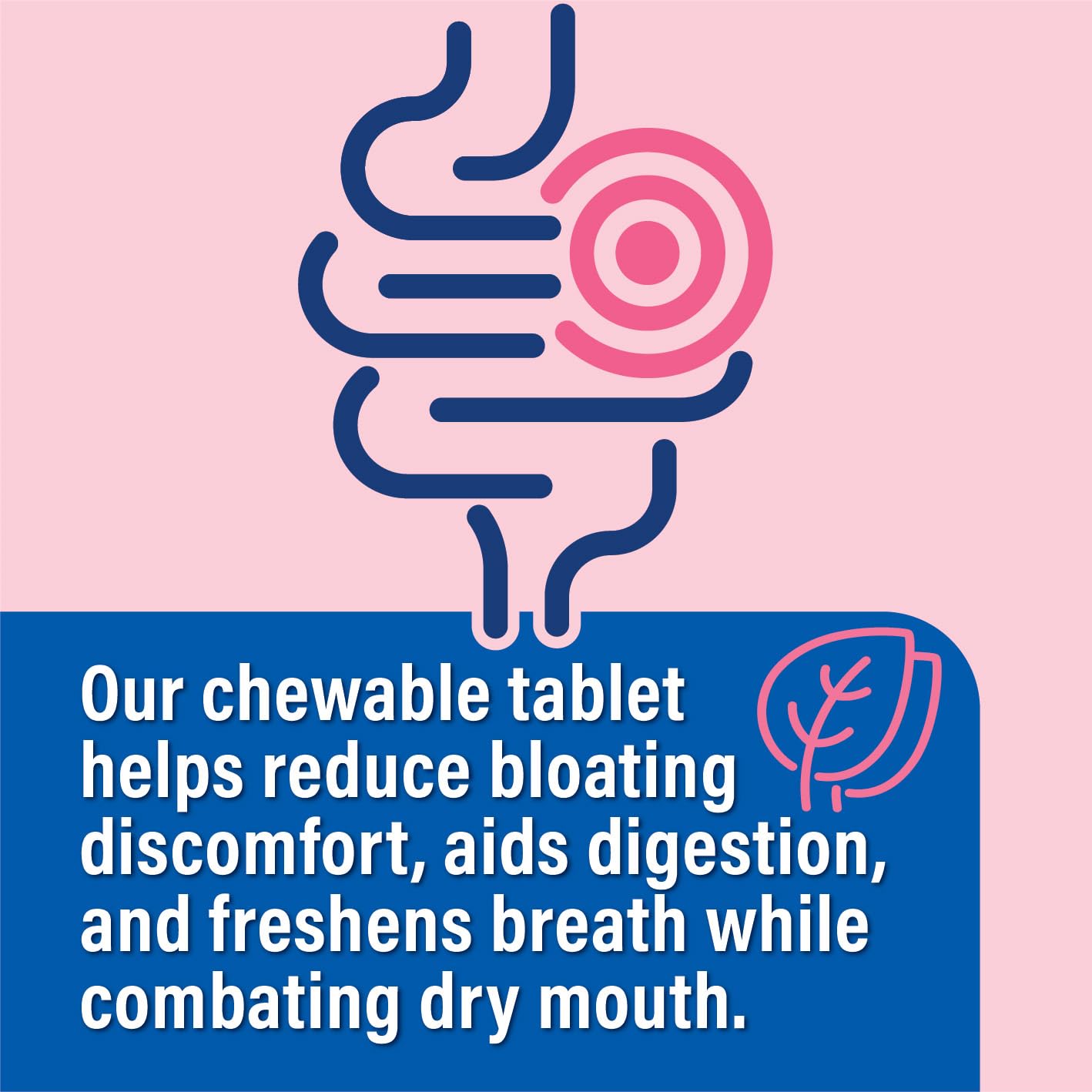 Probiotiv Chewable Probiotics for Daily Bloating w/ 5 Billion CFU – “Two-in-One Combo” Probiotiv uk supplements