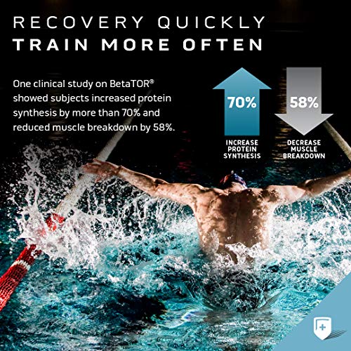 Muscle Recovery, MuscleTech Clear Muscle Post Workout Recovery, Muscle Builder MuscleTech uk supplements