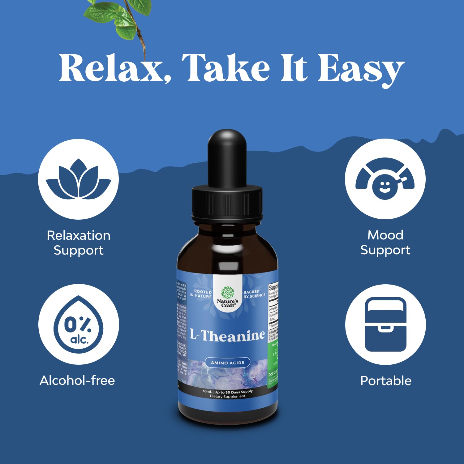 High Absorption L-Theanine Liquid Drops - Nootropic Focus Supplement with L Theanine 200mg Per Serving and Chamomile Extract Supplement for Adults and Kids Relaxation and Focus - 2 Fl Oz Natures Craft uk supplements