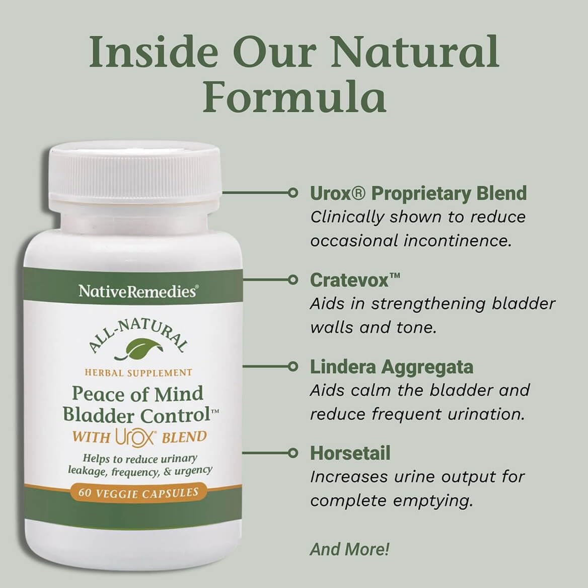 Native Remedies Bladder Control Supplements - Peace of Mind with Urox - Bladder Support for Women & Men, for Overactive Bladders Health - Reduce Nighttime Urination - Non-GMO Vegan Capsules (60 Count) Native Remedies uk supplements