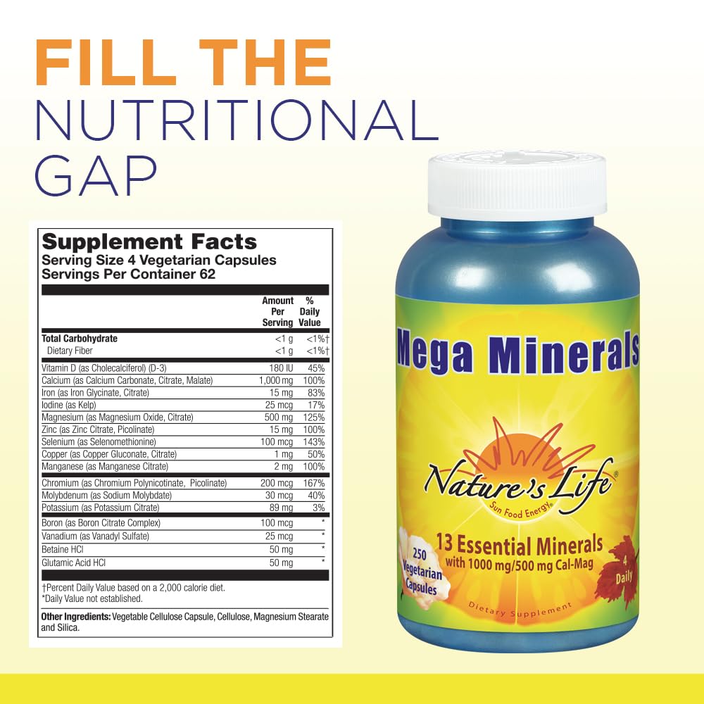 Nature's Life Mega Minerals Complex | Complete Multi Mineral + Vitamin D Supplement | 250 Vegetarian Capsules Nature's Life uk supplements
