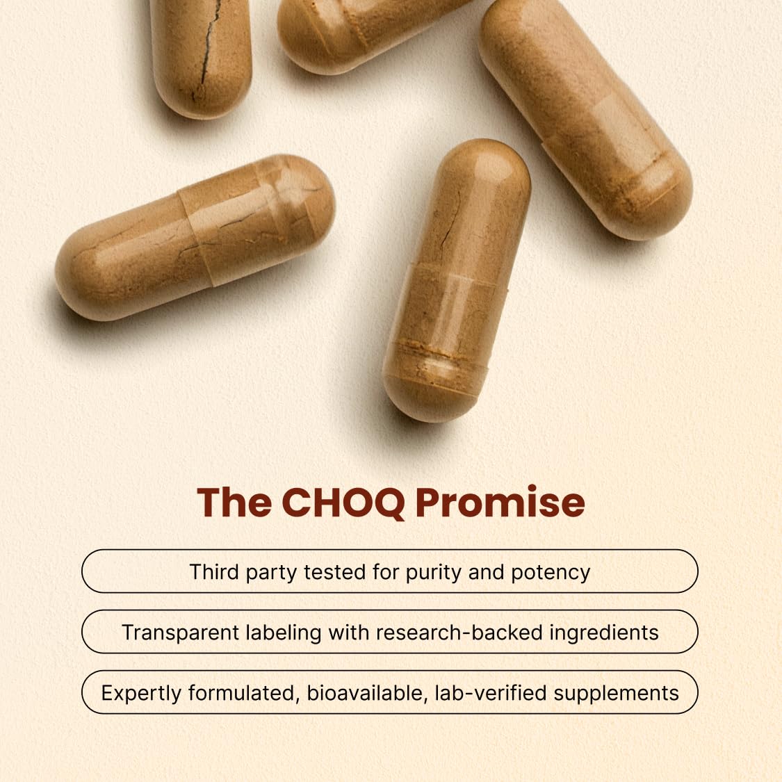 CHOQ Daily with 500mg PrimaVie Shilajit, Safed Musli, Tribulus - Natural Energy, Libido & Muscle Support - Daily Supplement for Men, 60 Vegan Capsules CHOQ uk supplements