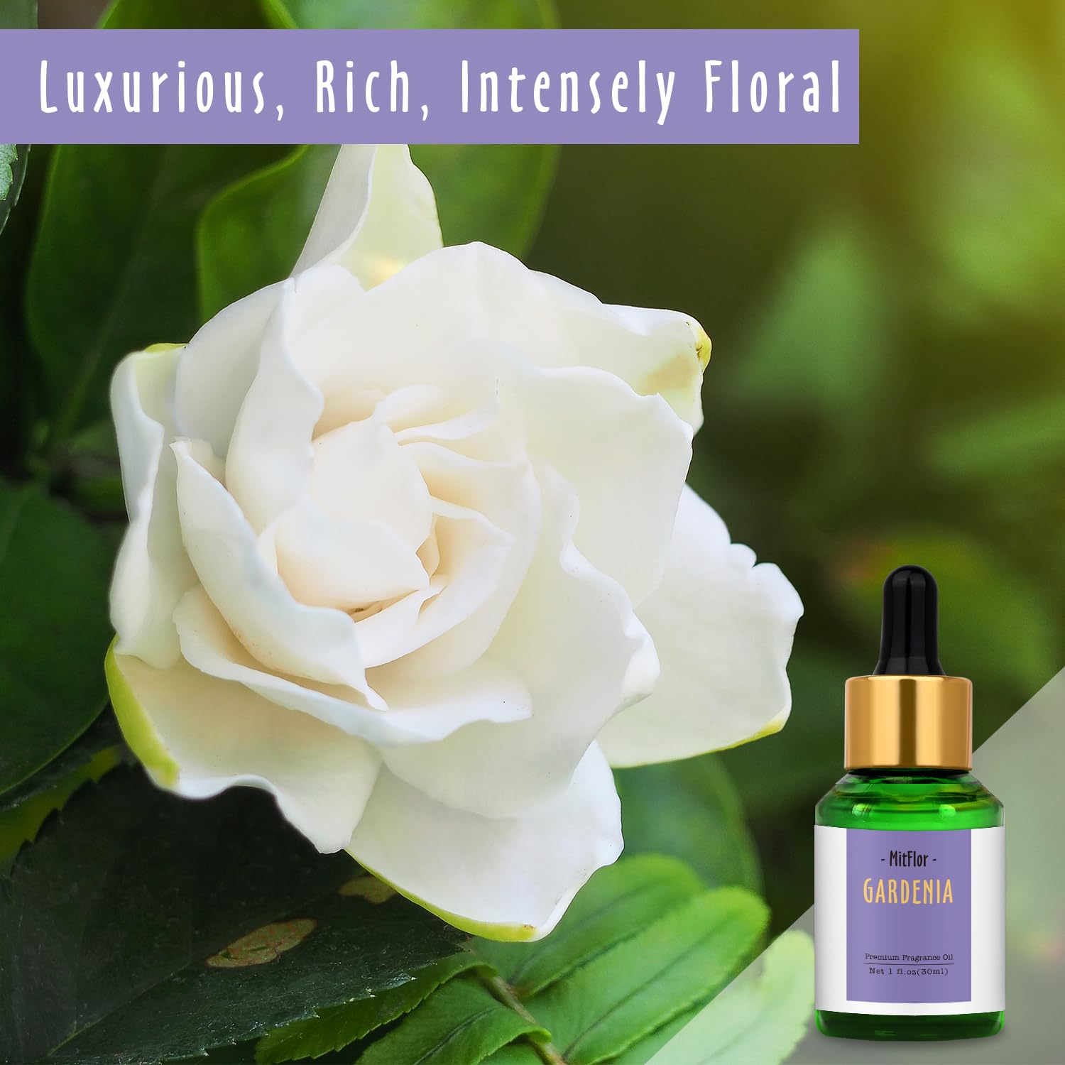 Gardenia Fragrance Oil, MitFlor Single Scented Oil, Large Size Premium Grade Fragrance Oil MitFlor uk supplements